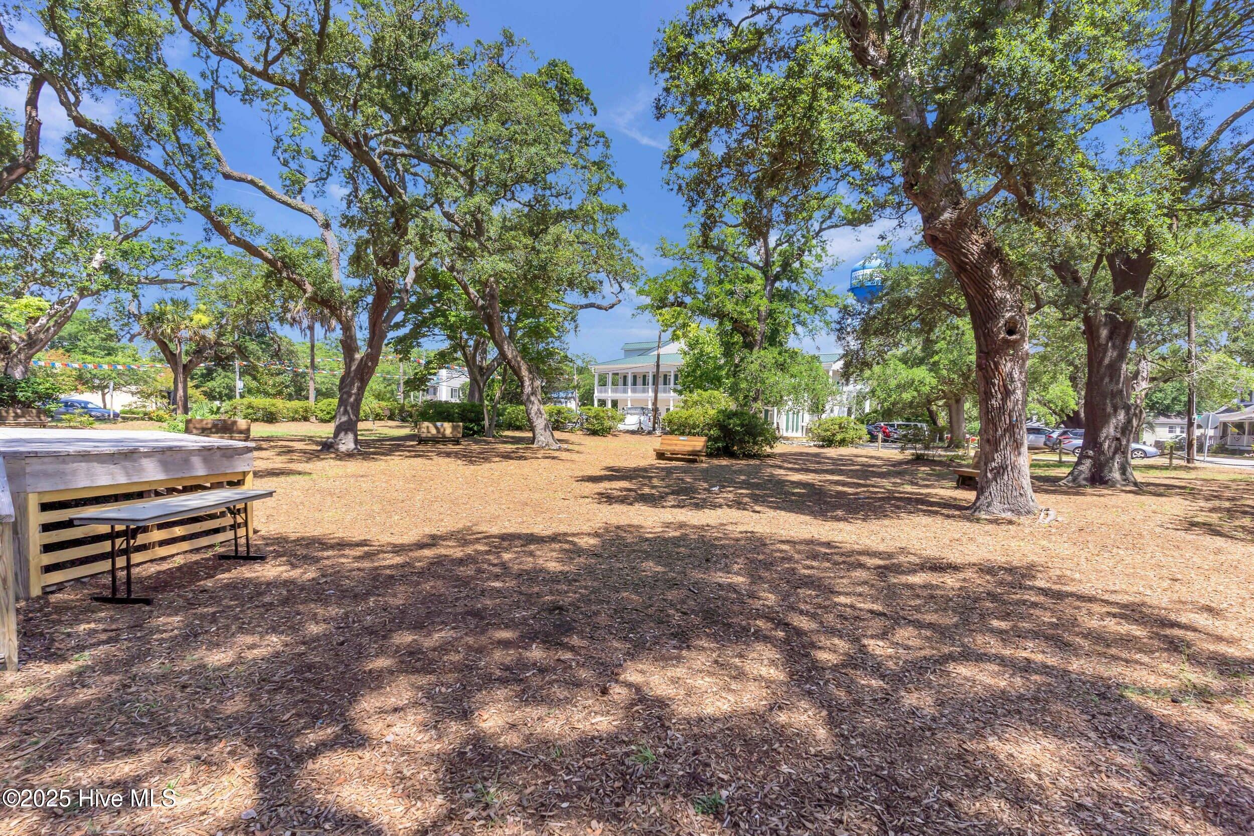 100516979 | Photo 43