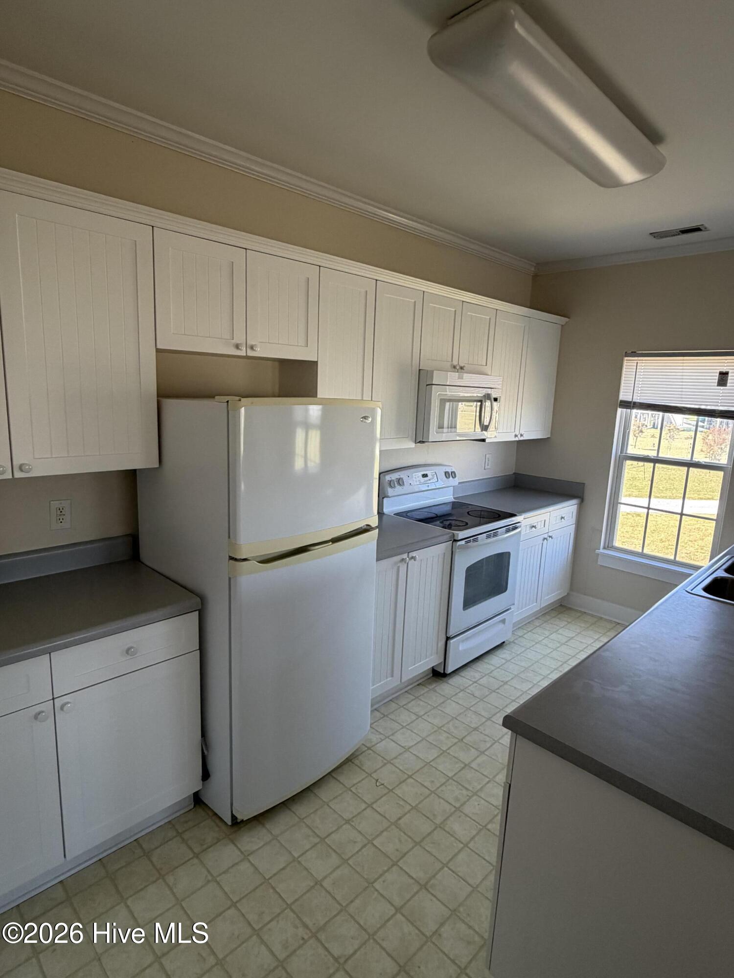 100566043 | Photo 17