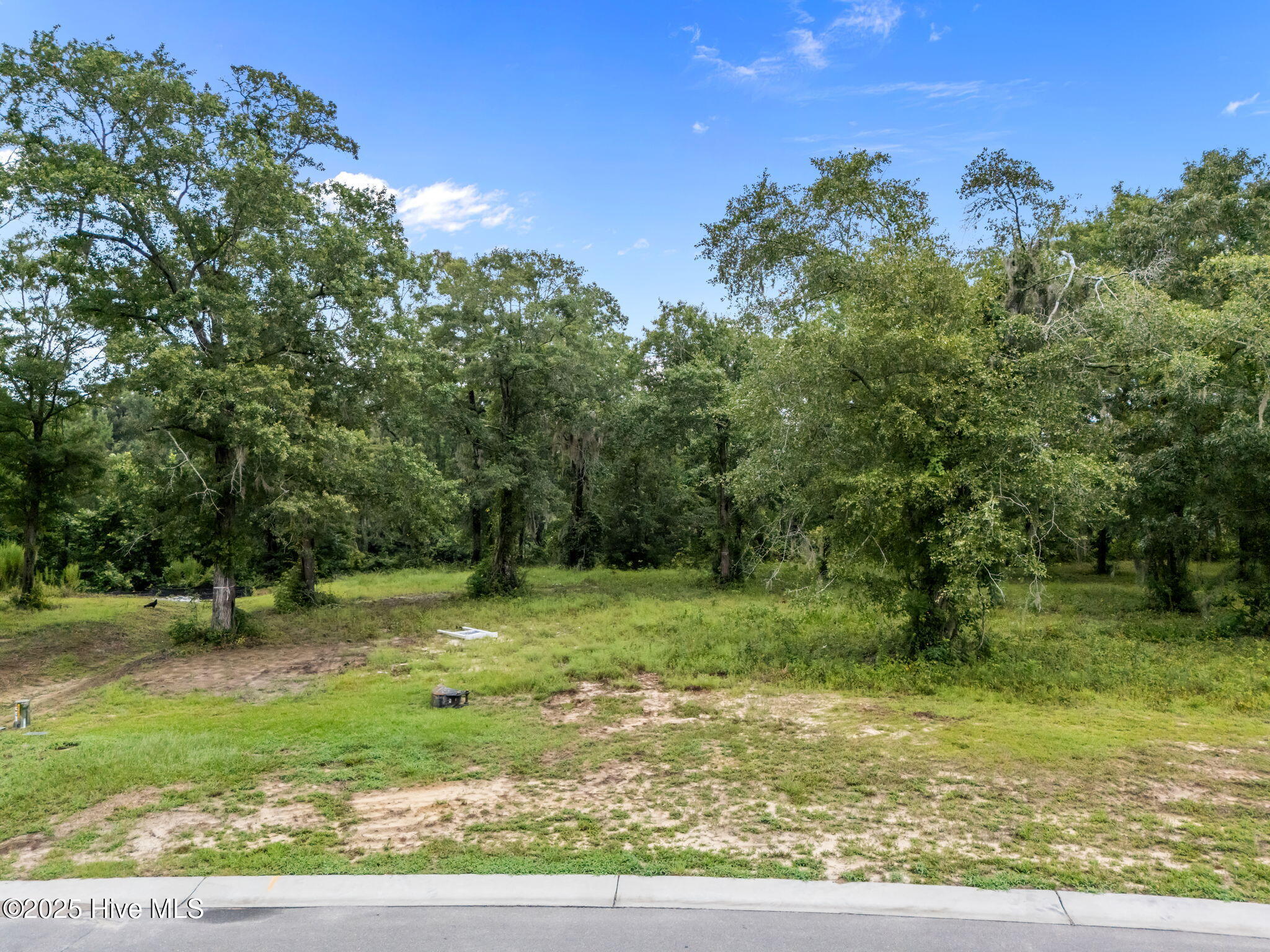 100545835 | Photo 71