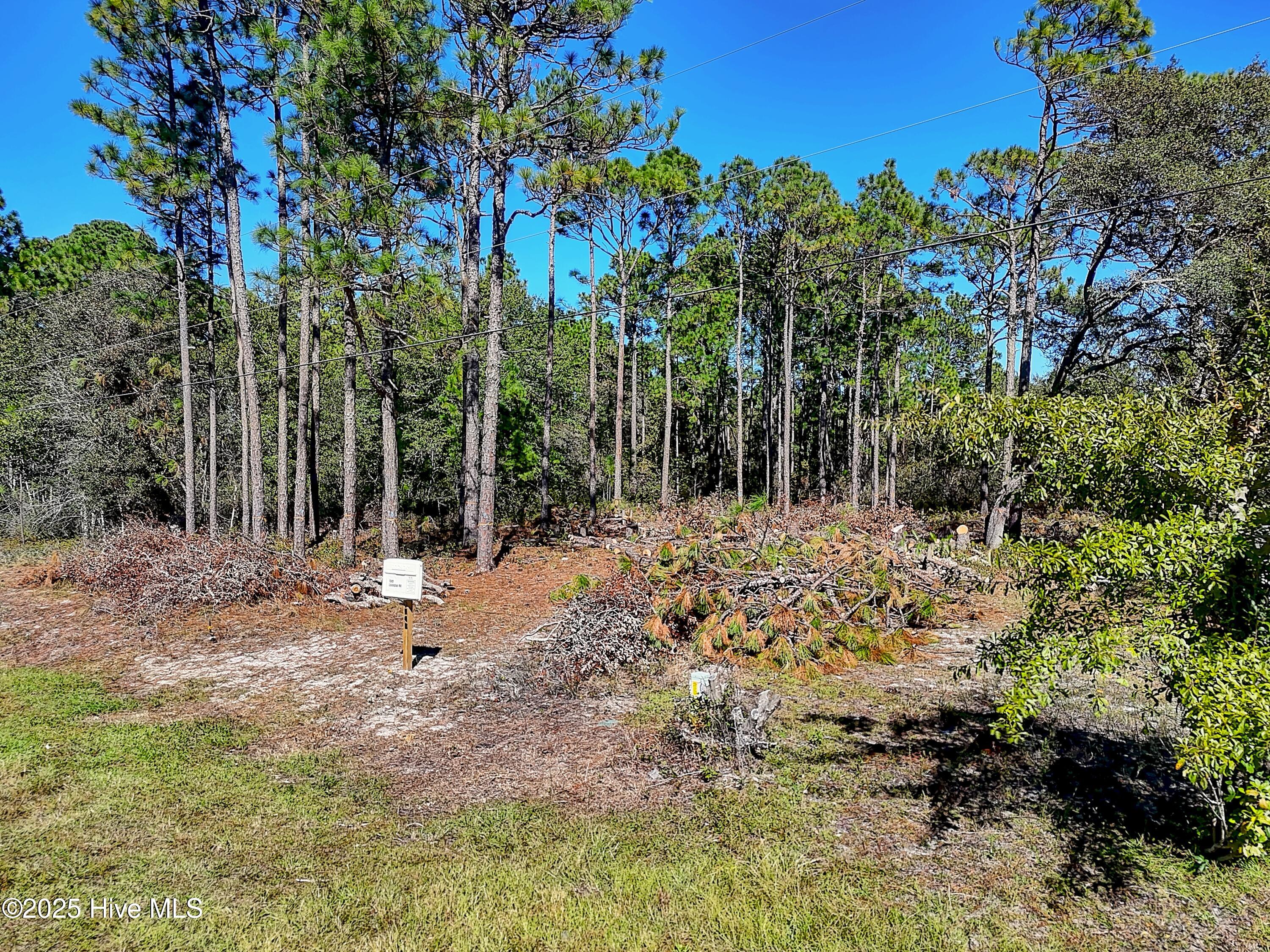 Carolina Barrier Islands Carolina Barrier Islands