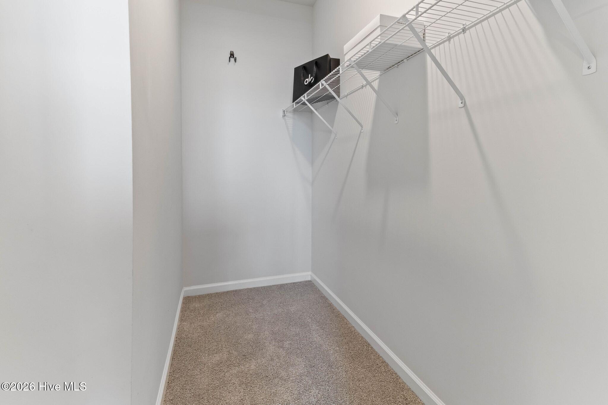 100556096 | Photo 24