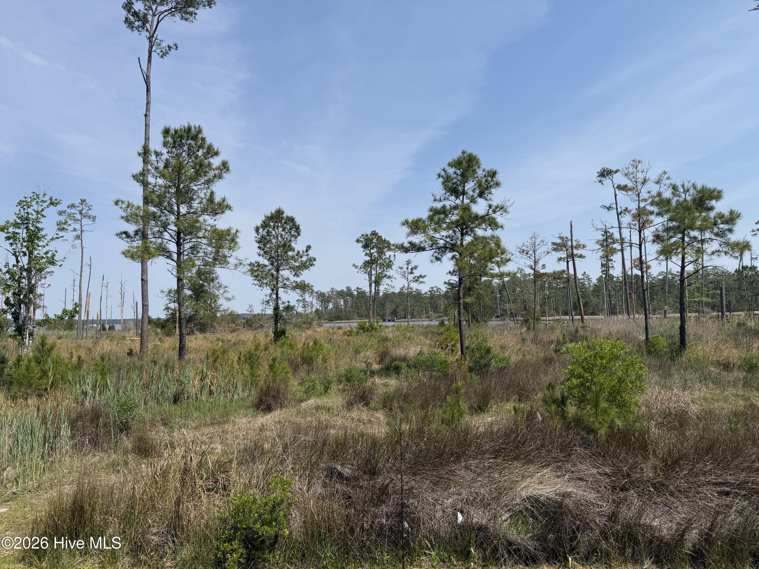 47 12 Timber Point Drive,Merritt