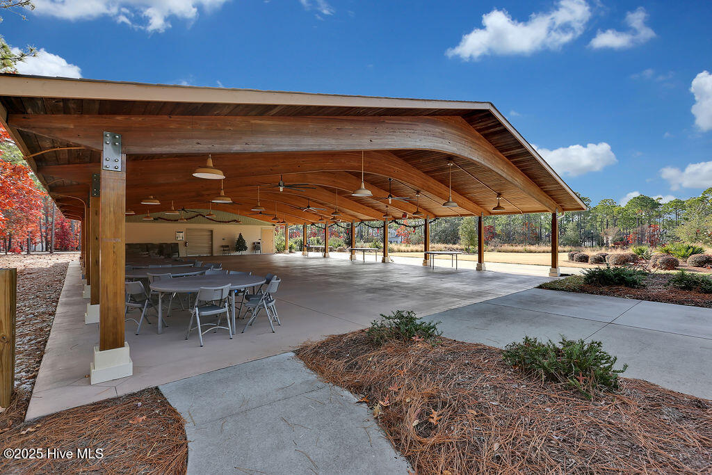 100554585 | Photo 124