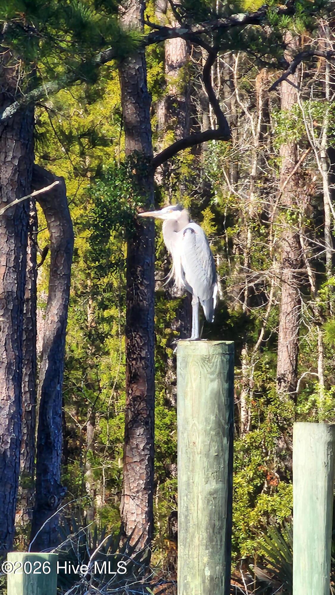 129 38 Cummins Creek Road,Beaufort