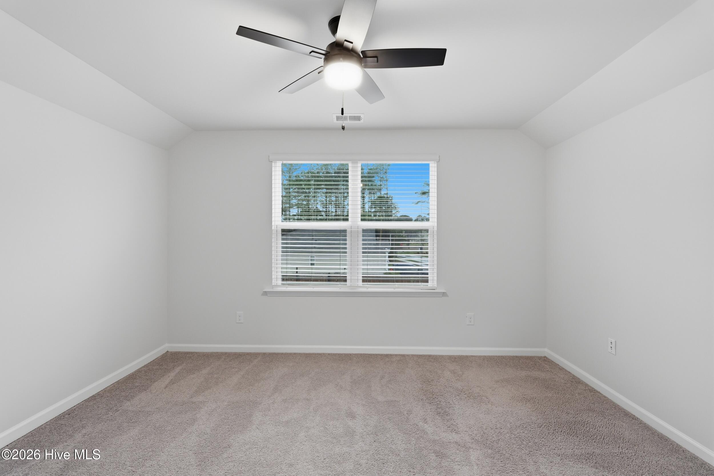 100561033 | Photo 31