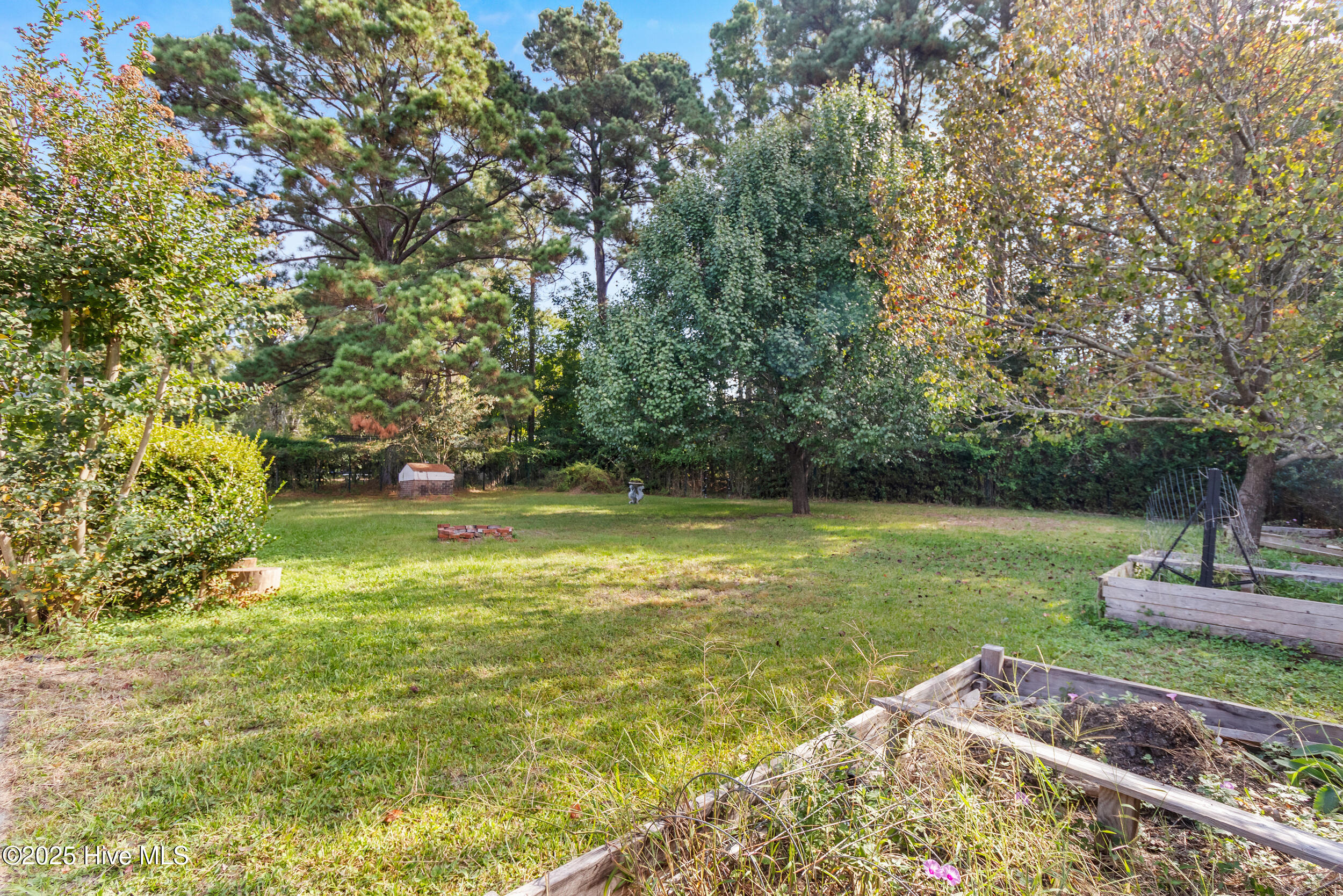 100535296 | Photo 37