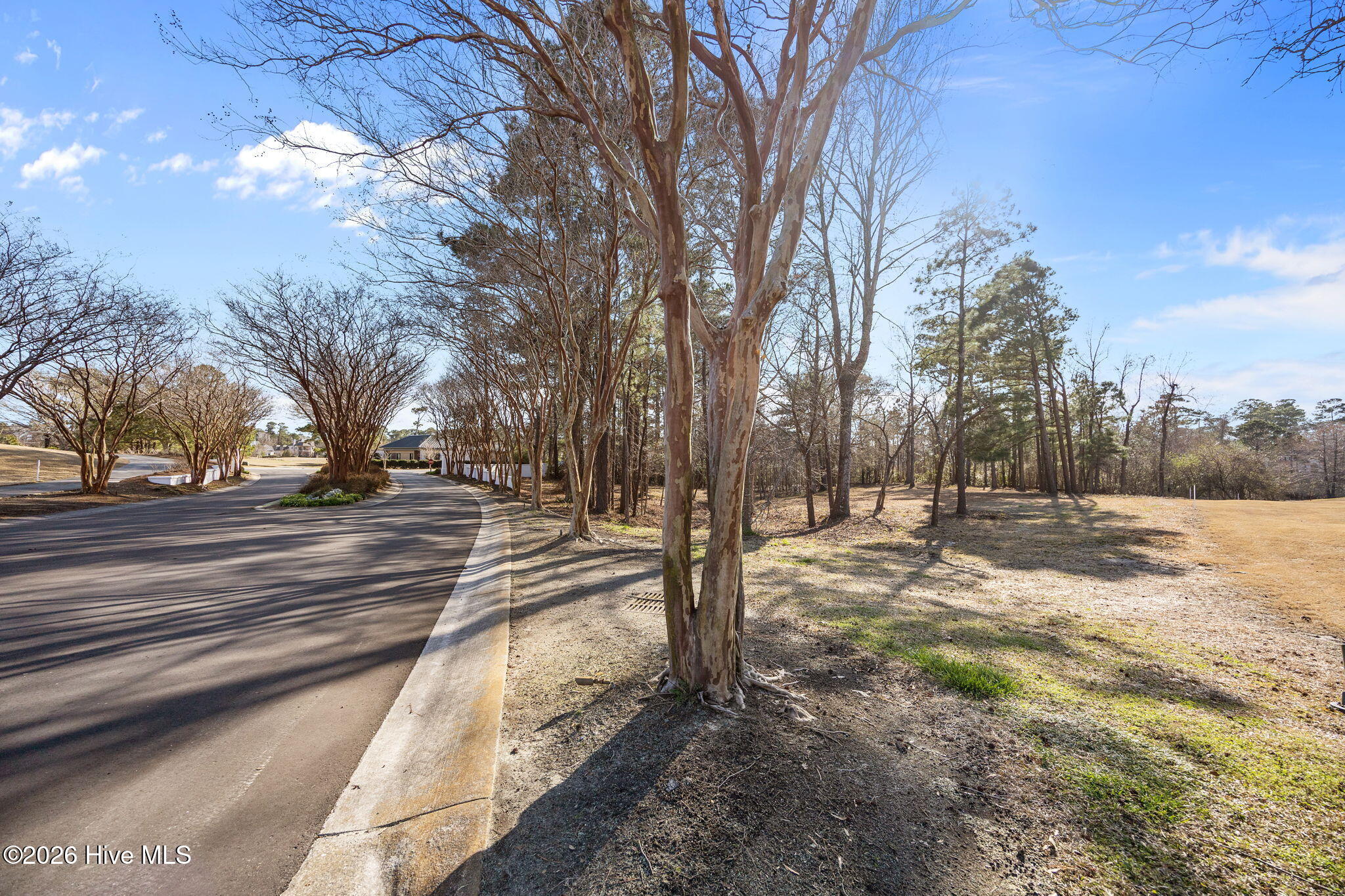 100559431 | Photo 10