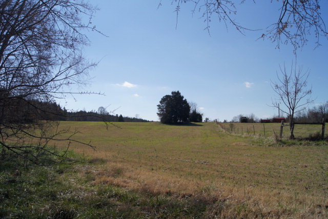 128 Ac E Highway 220, Lincolnton, GA 30817 Listing Photo  1