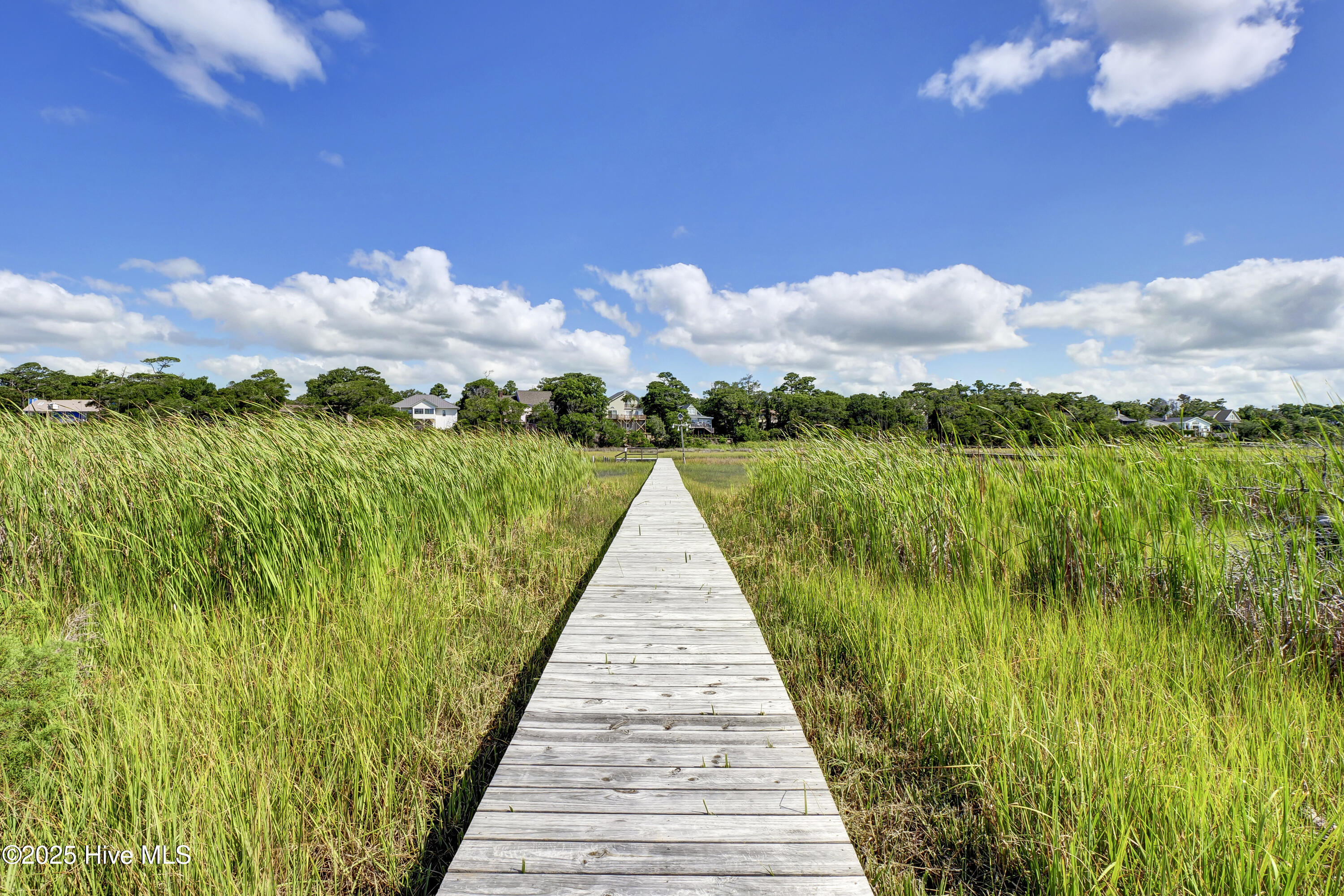 100489094 | Photo 87