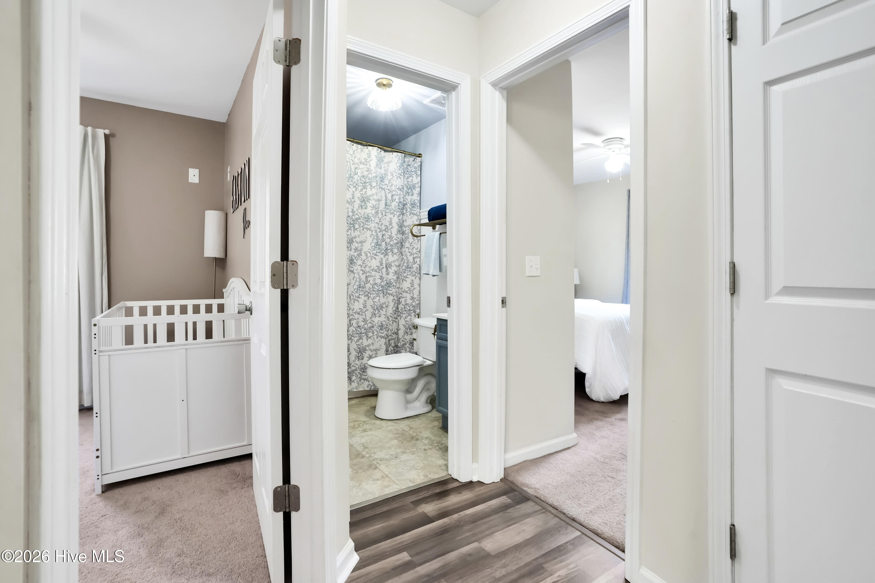 100555387 | Photo 15