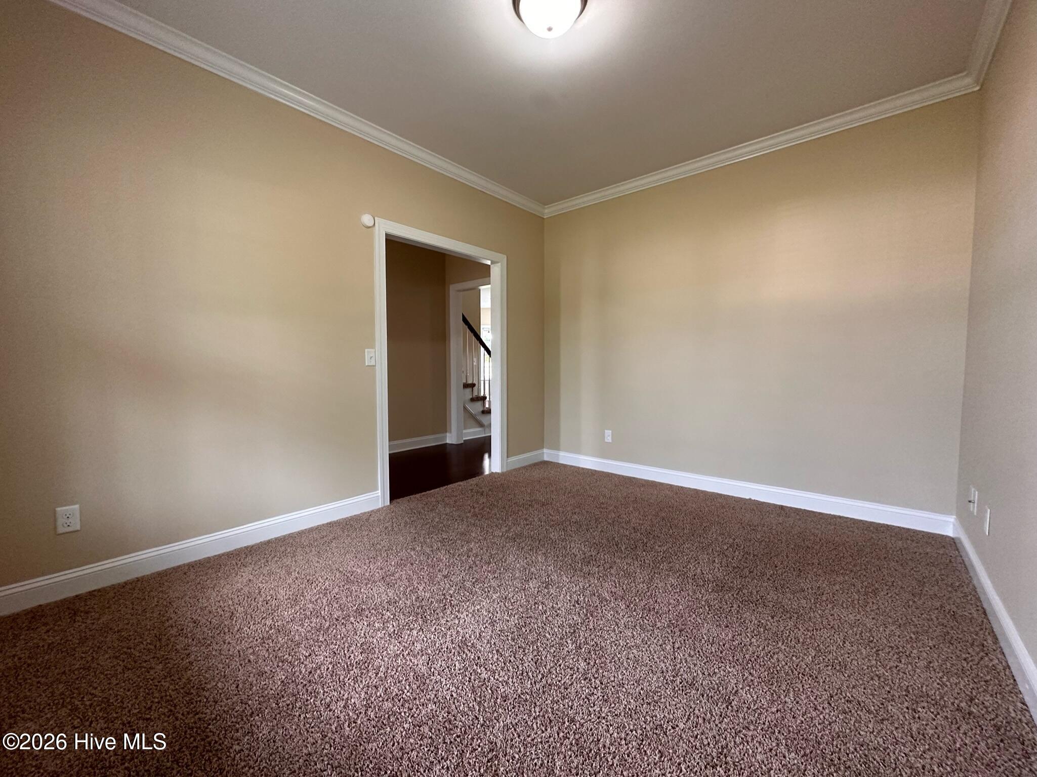 100557868 | Photo 10