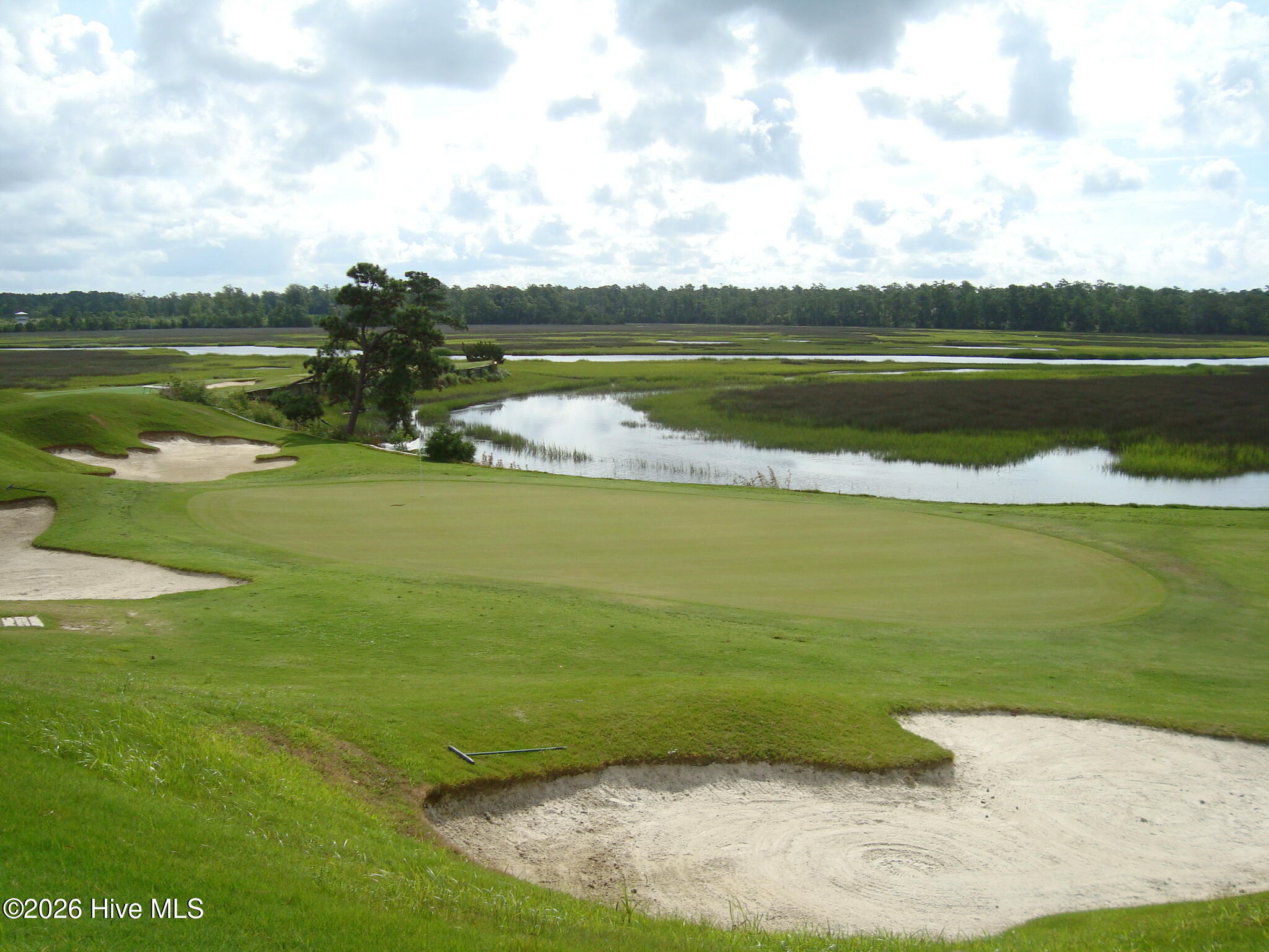 100558033 | Photo 13