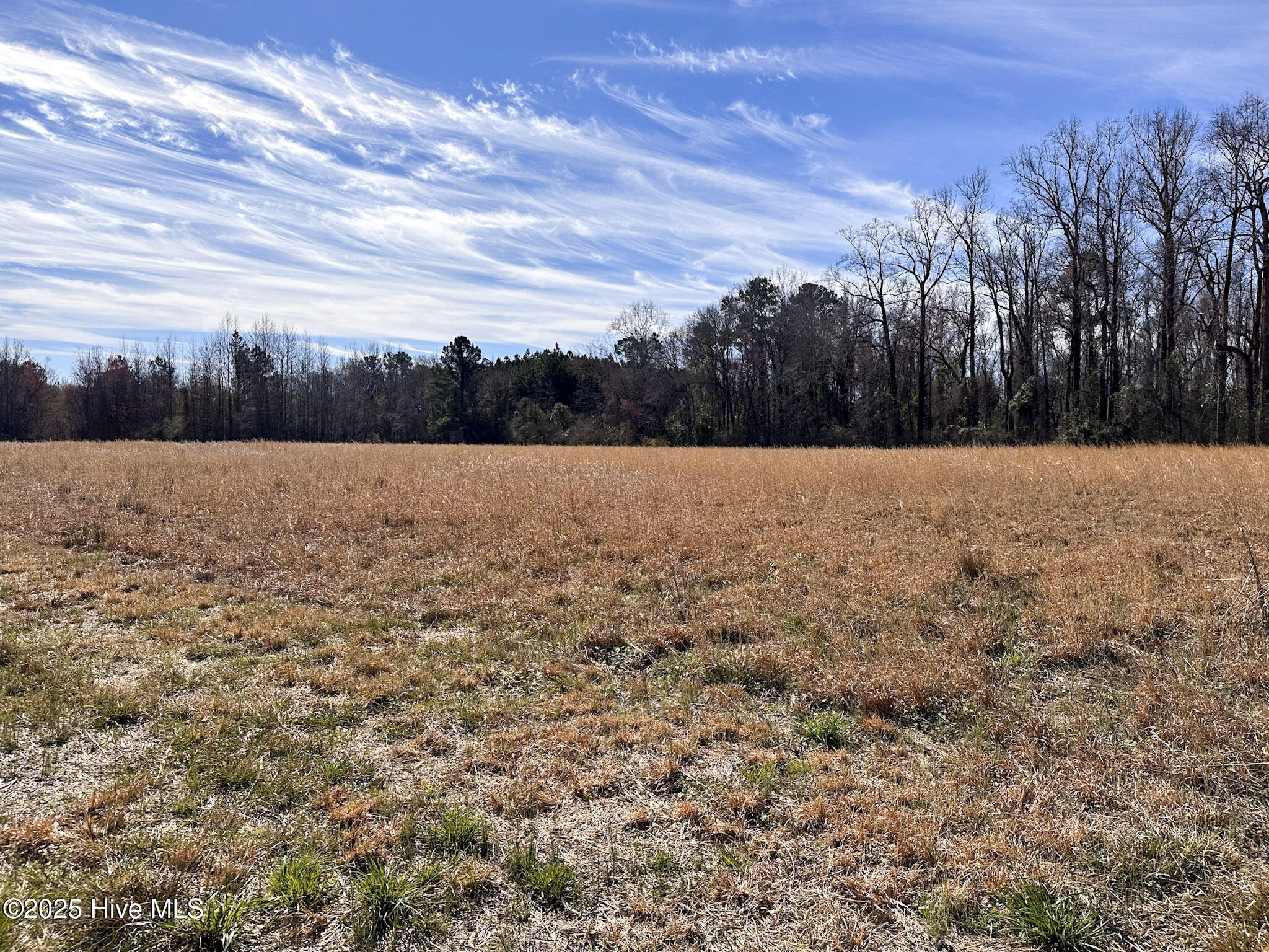 100497970 | Photo 10