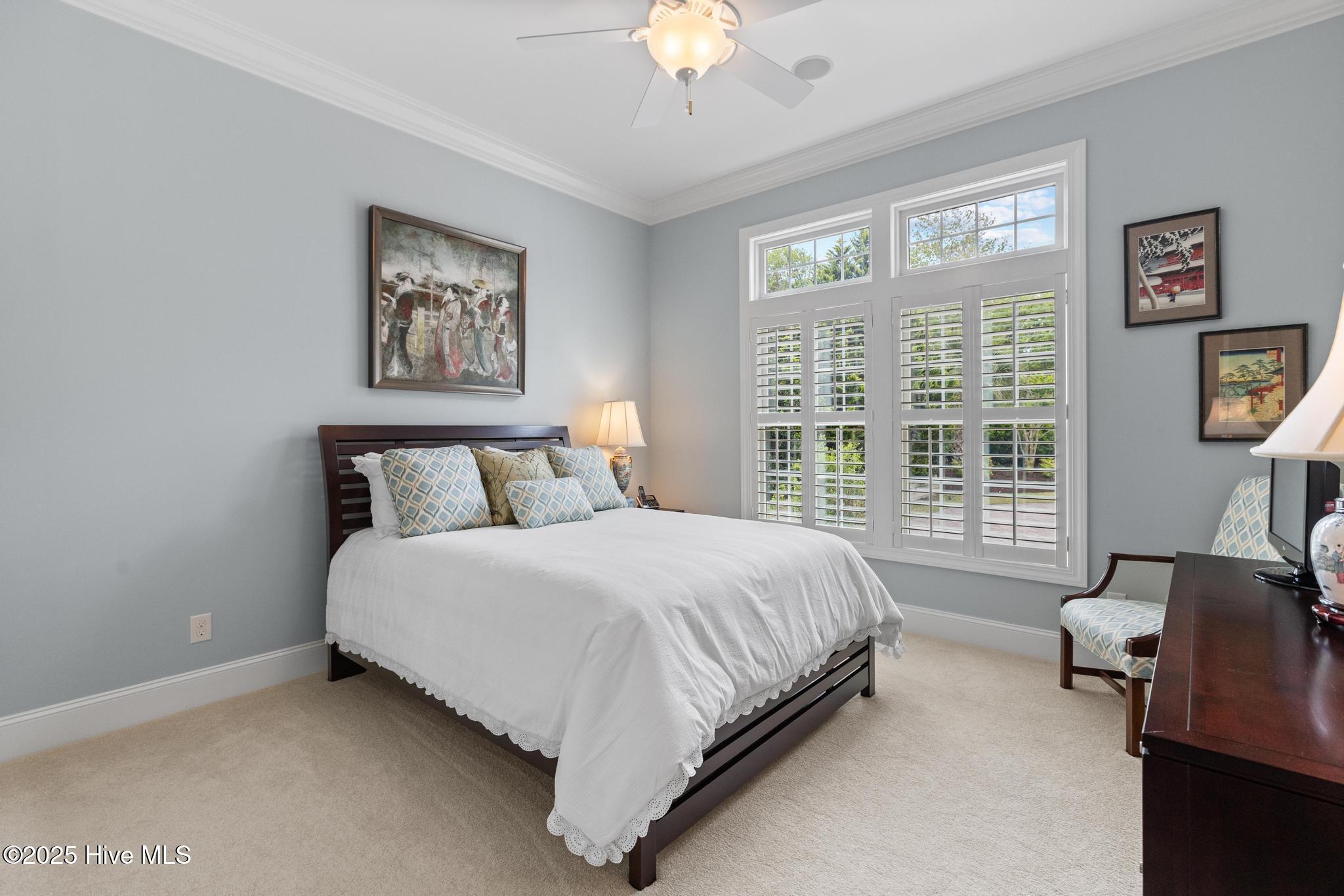 100567588 | Photo 30