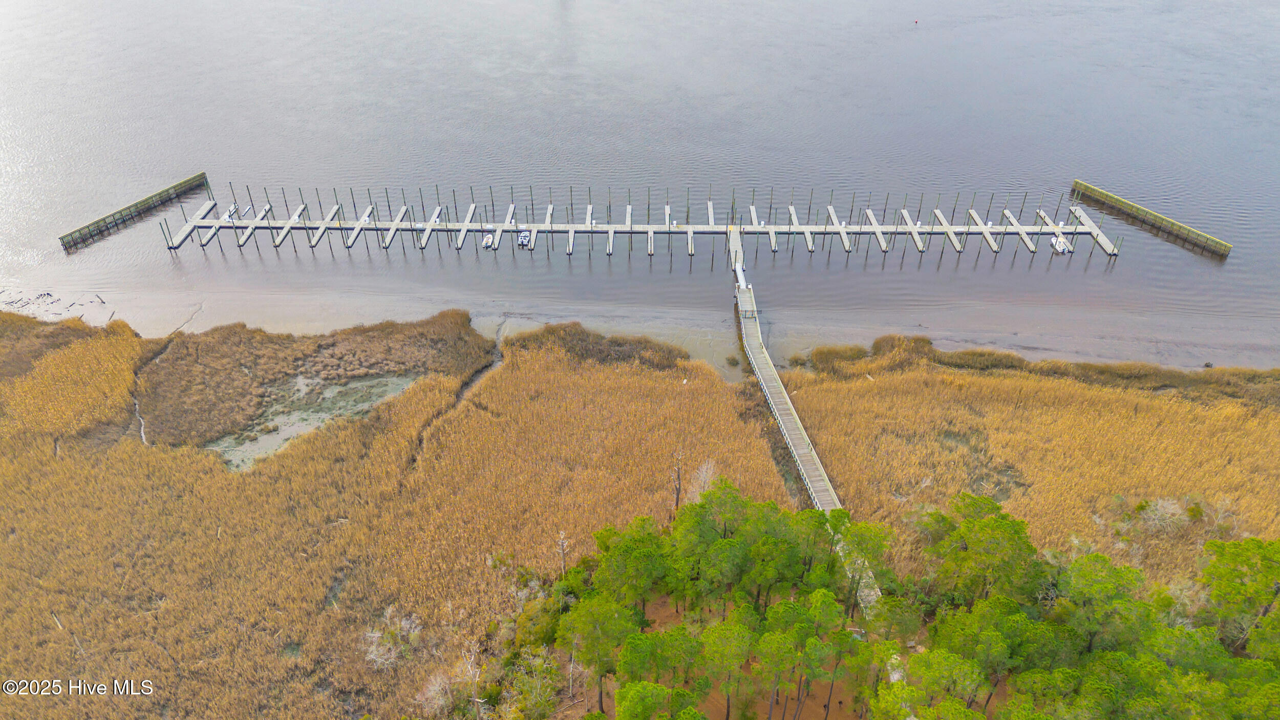 100546072 | Photo 11