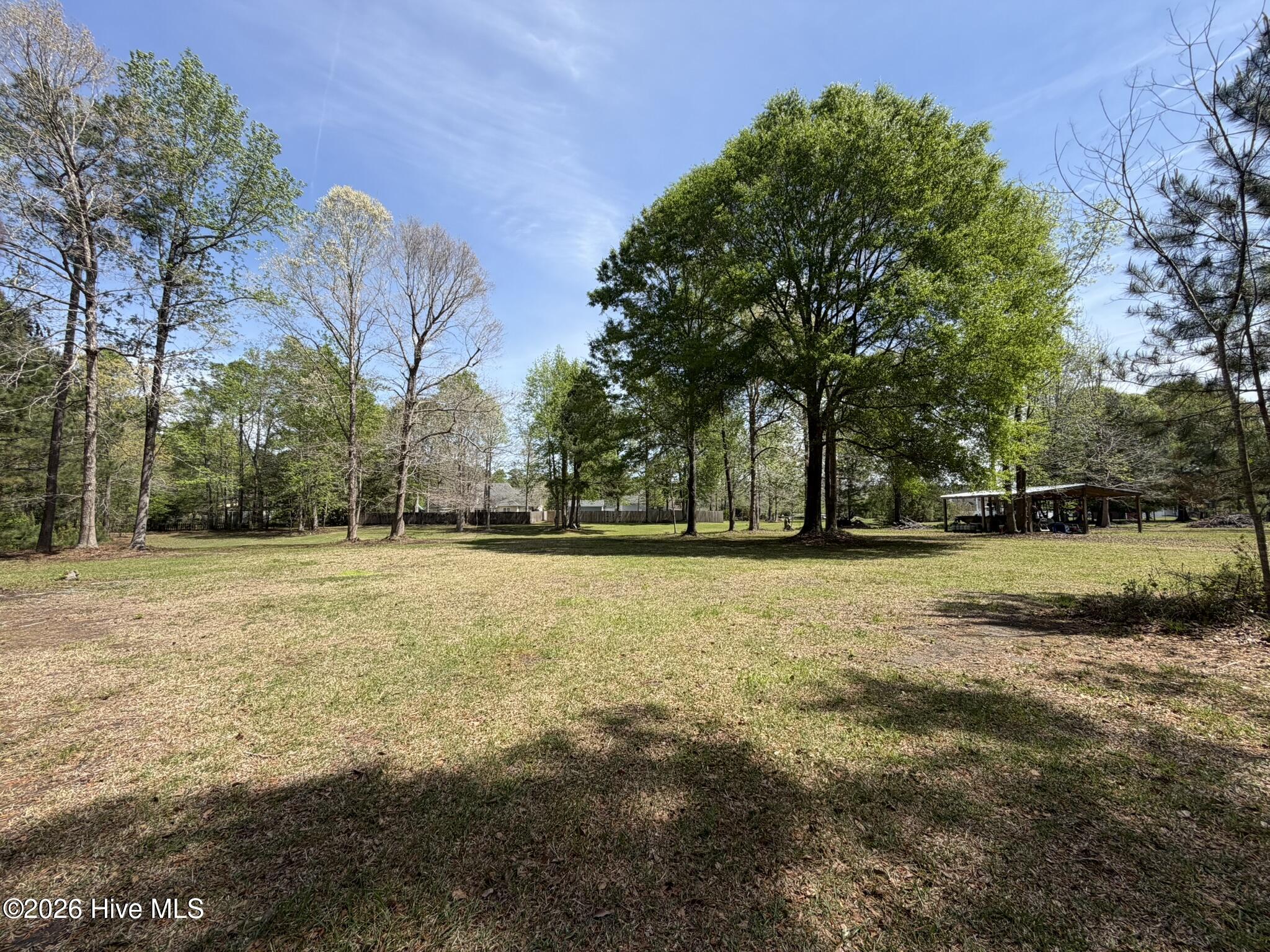 100565225 | Photo 65