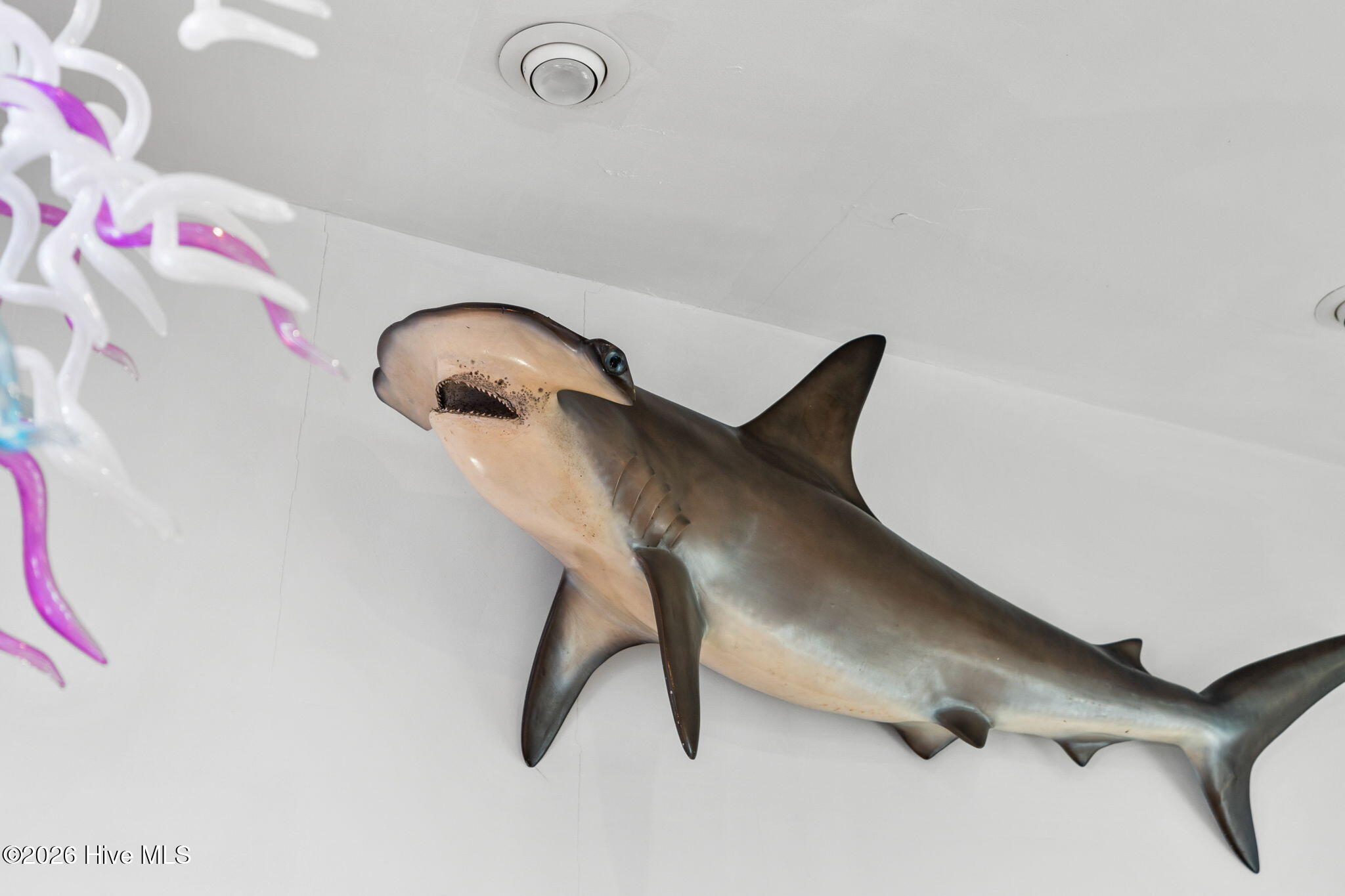 100548707 | Photo 20