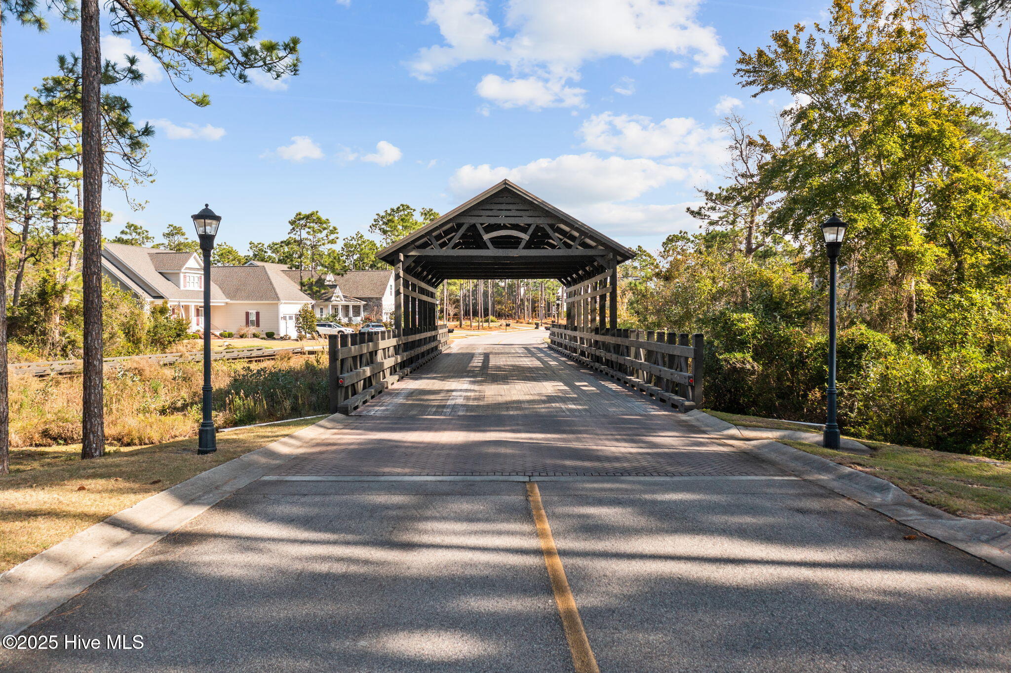 100536215 | Photo 76