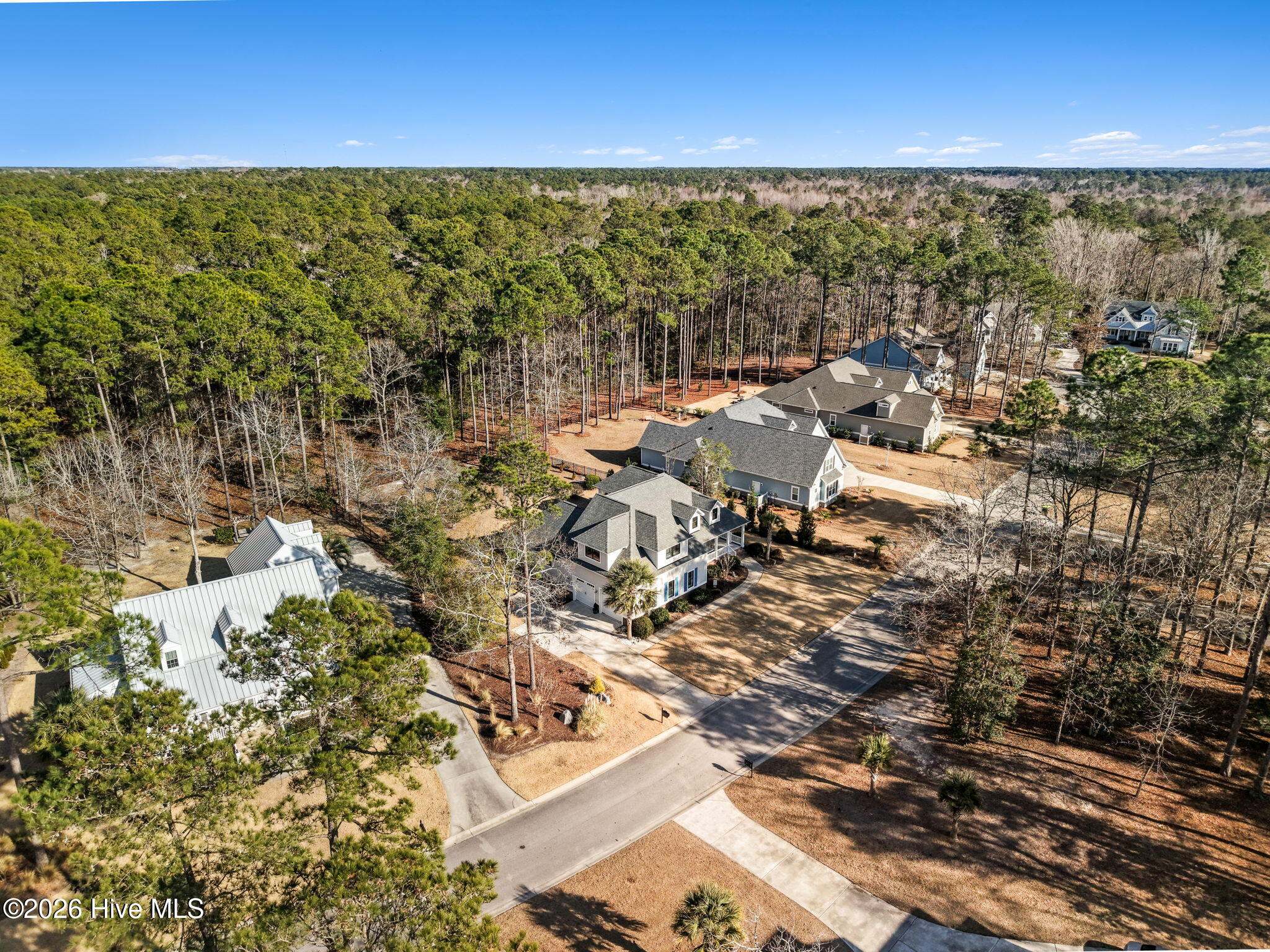 100560975 | Photo 49