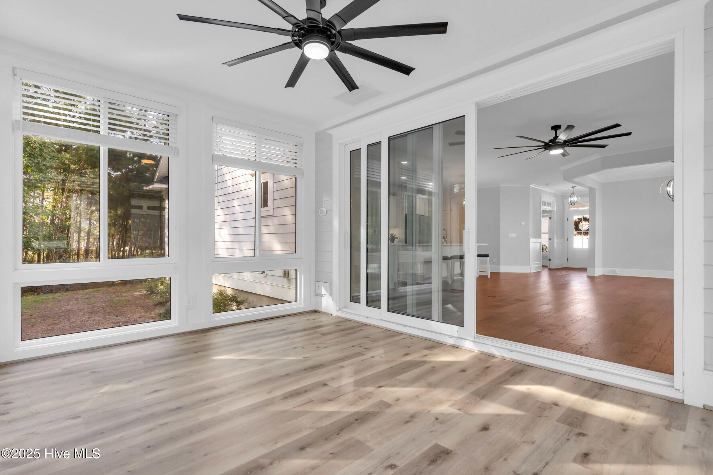 100535117 | Photo 41