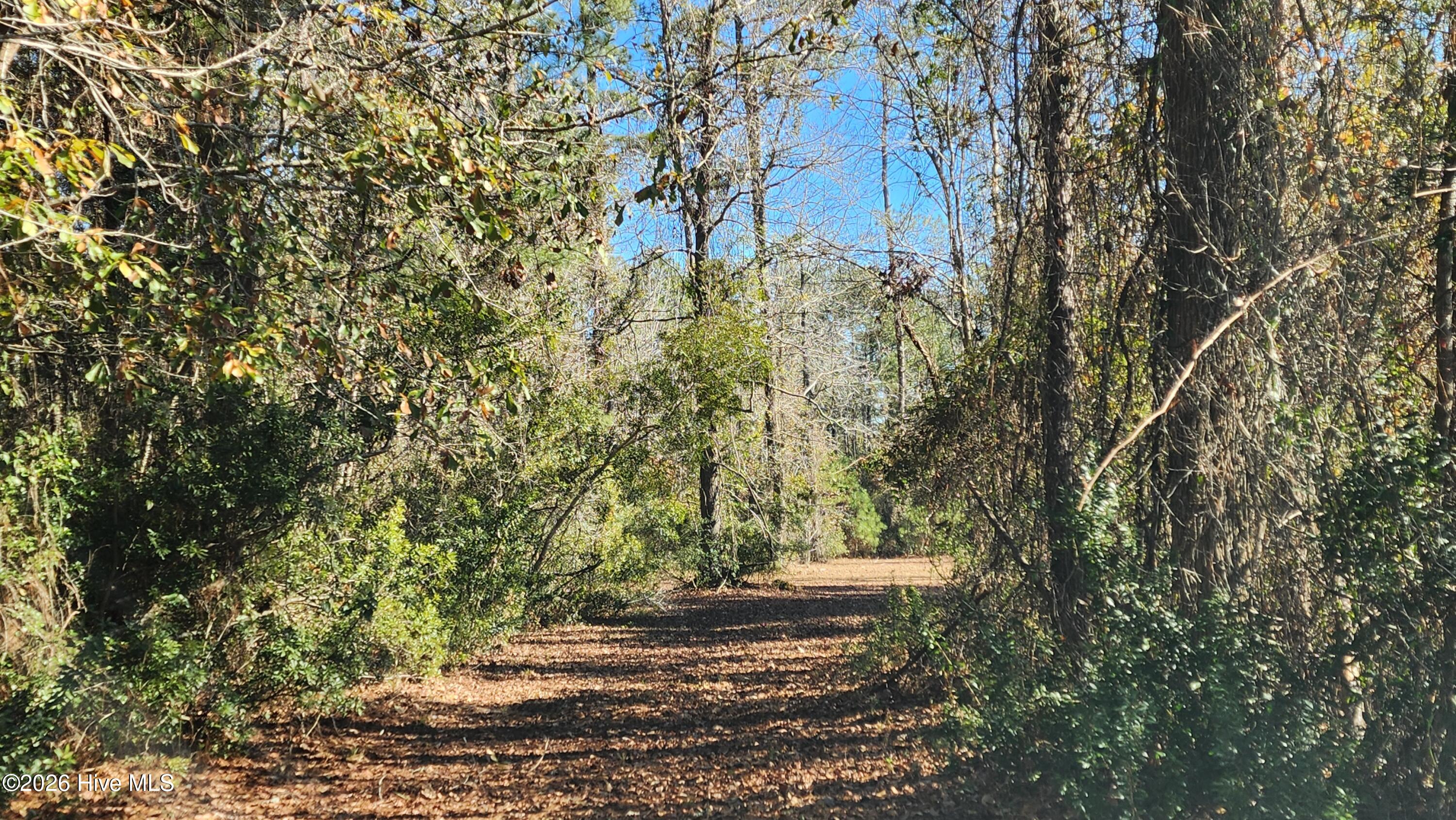 129 38 Cummins Creek Road,Beaufort