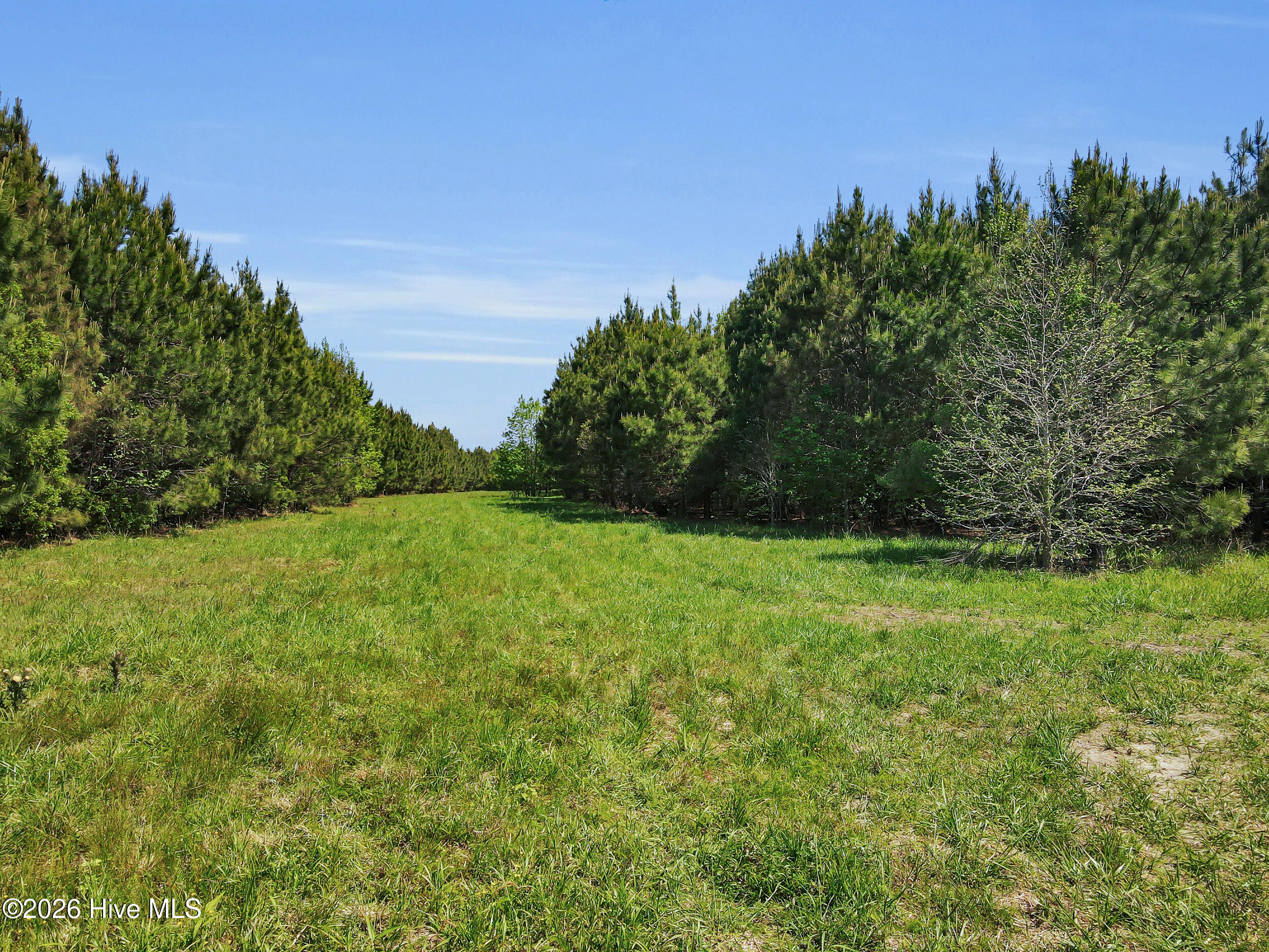 N/A Burton Farm Road,Arapahoe