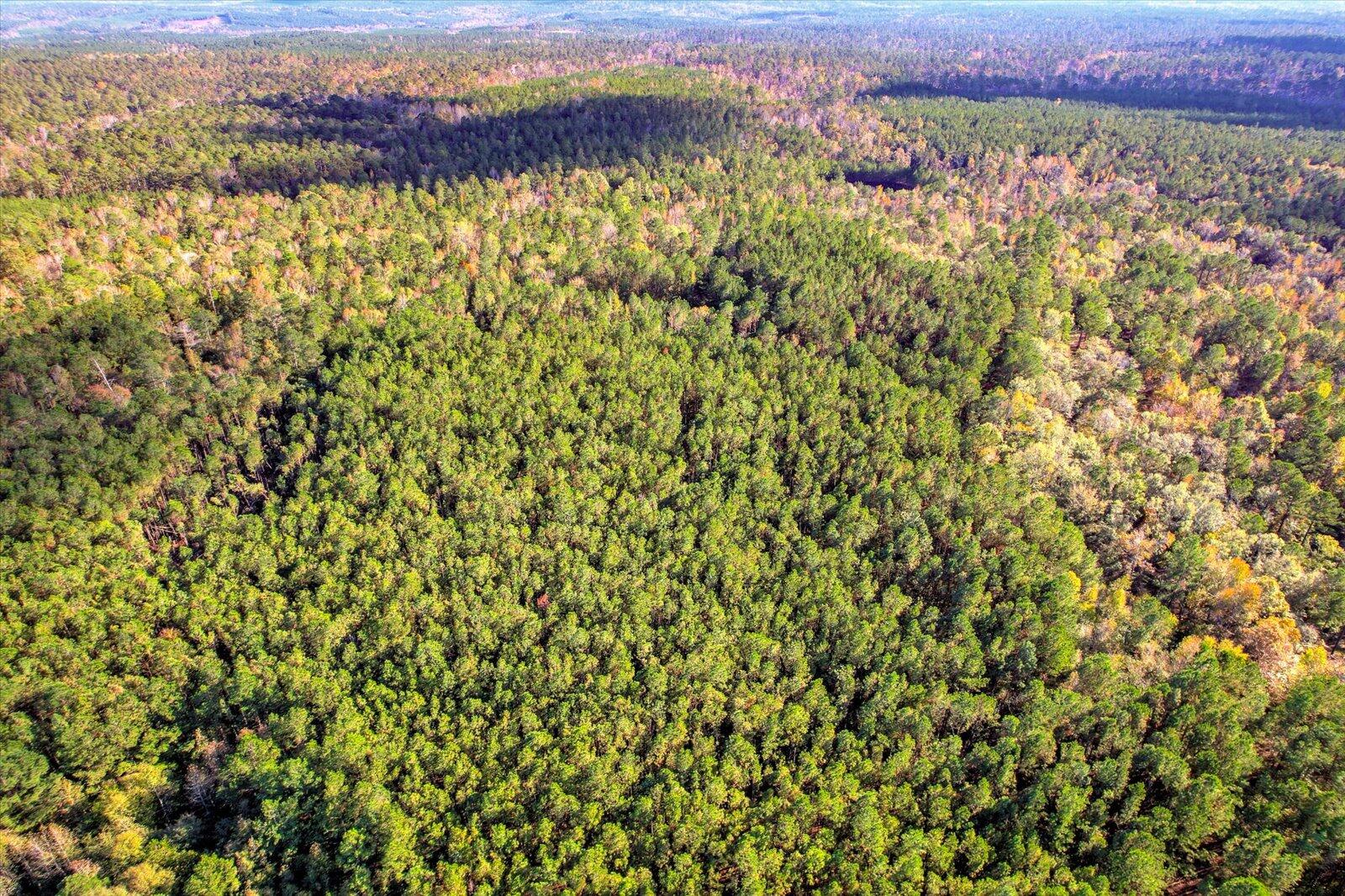 TBD2 SC-23, Edgefield, SC, 29824