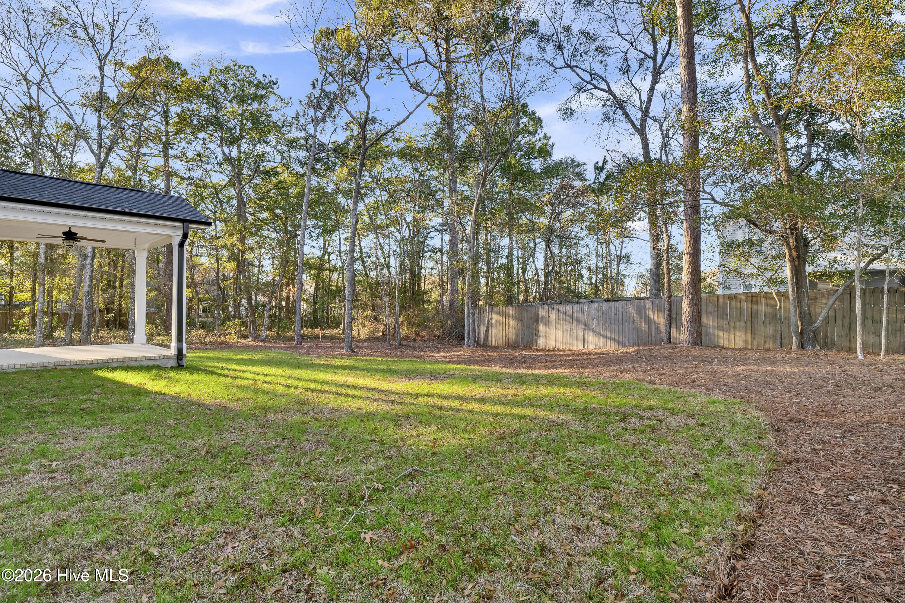 100550236 | Photo 43