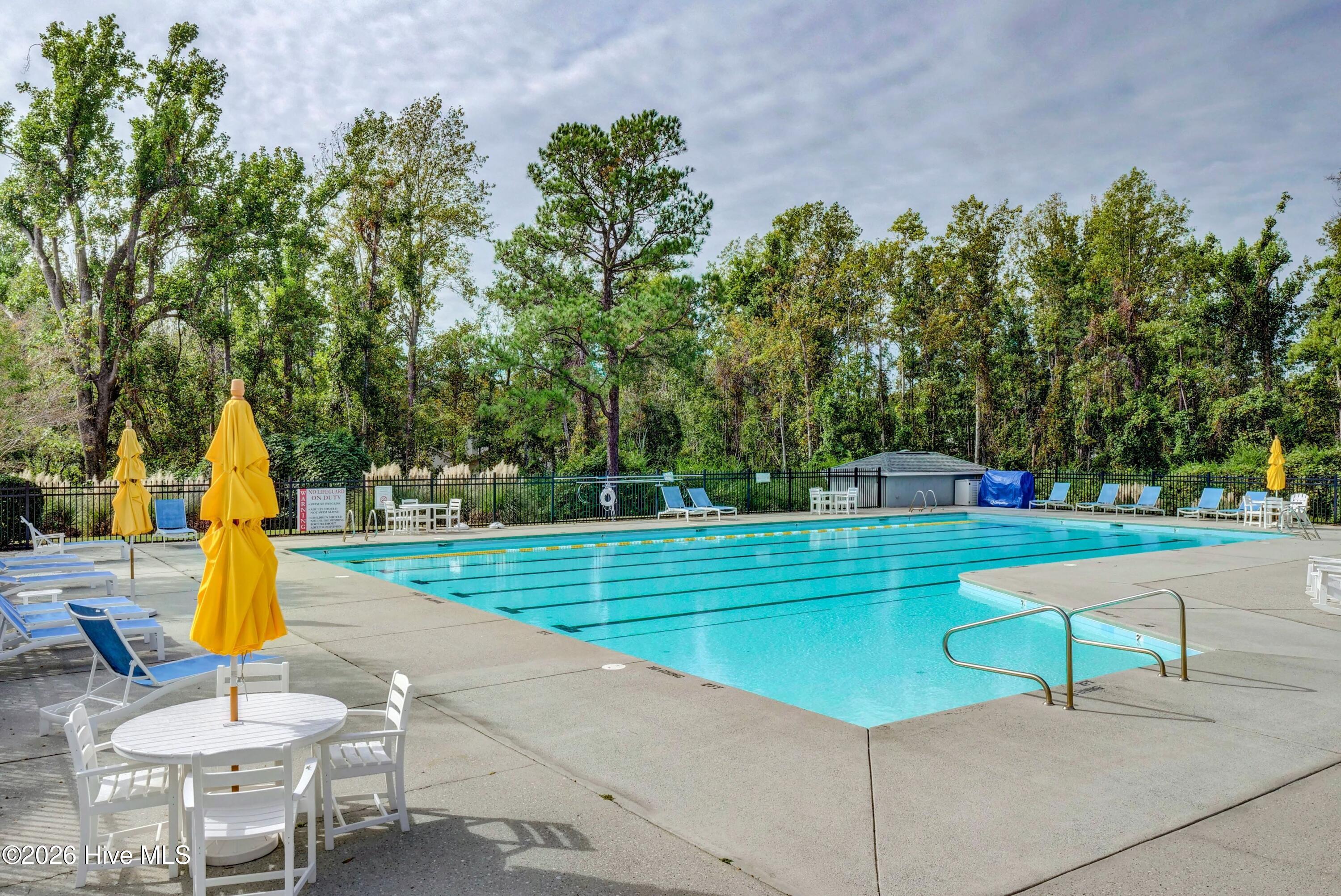 100556431 | Photo 35