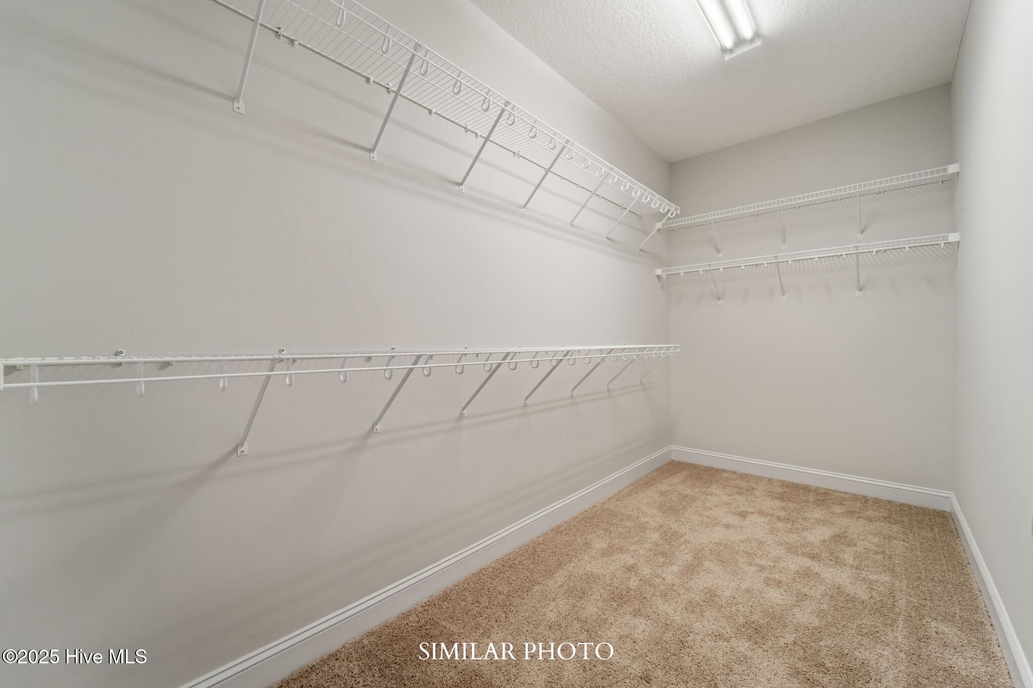 100546139 | Photo 22