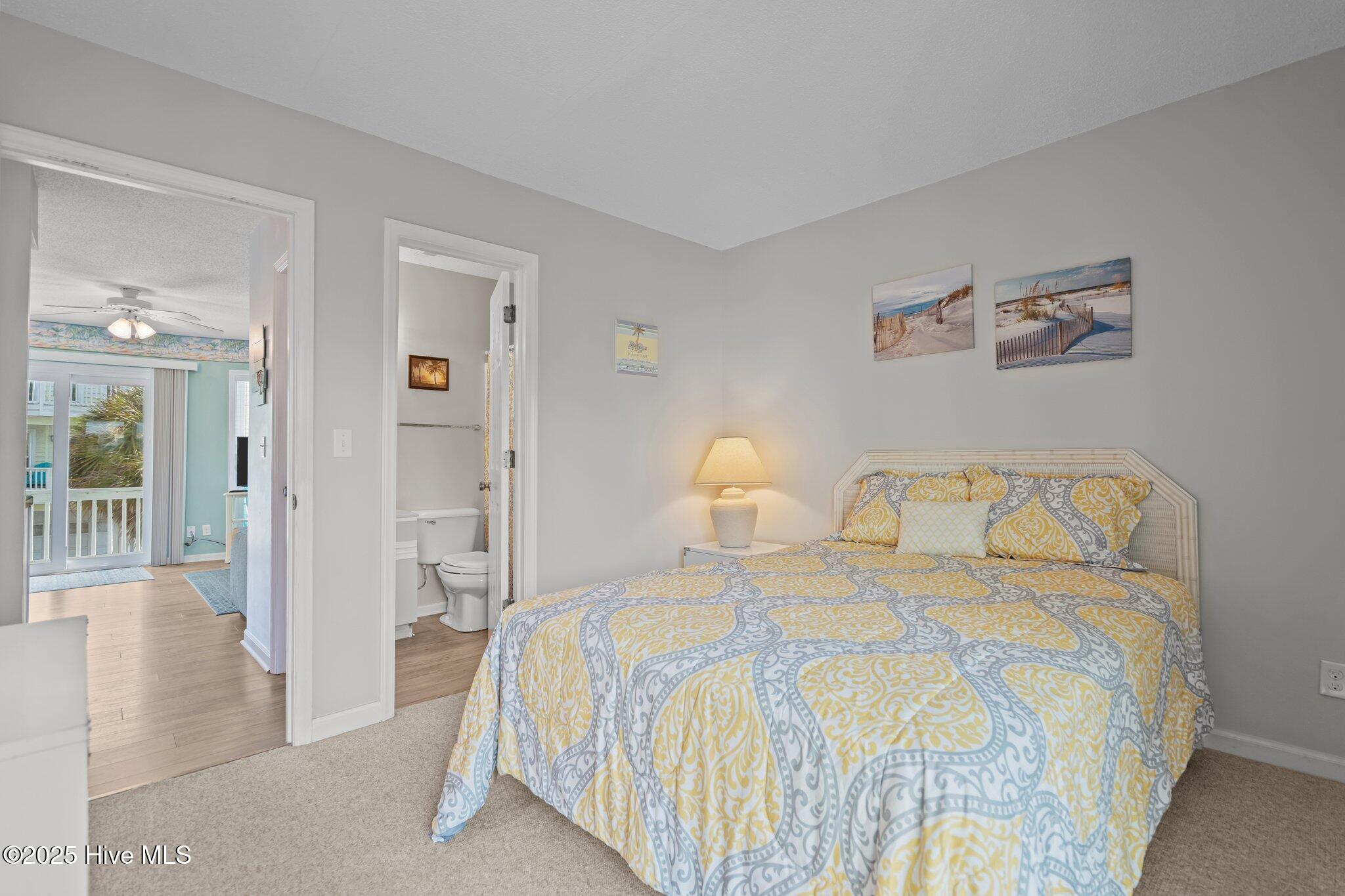 100554809 | Photo 32