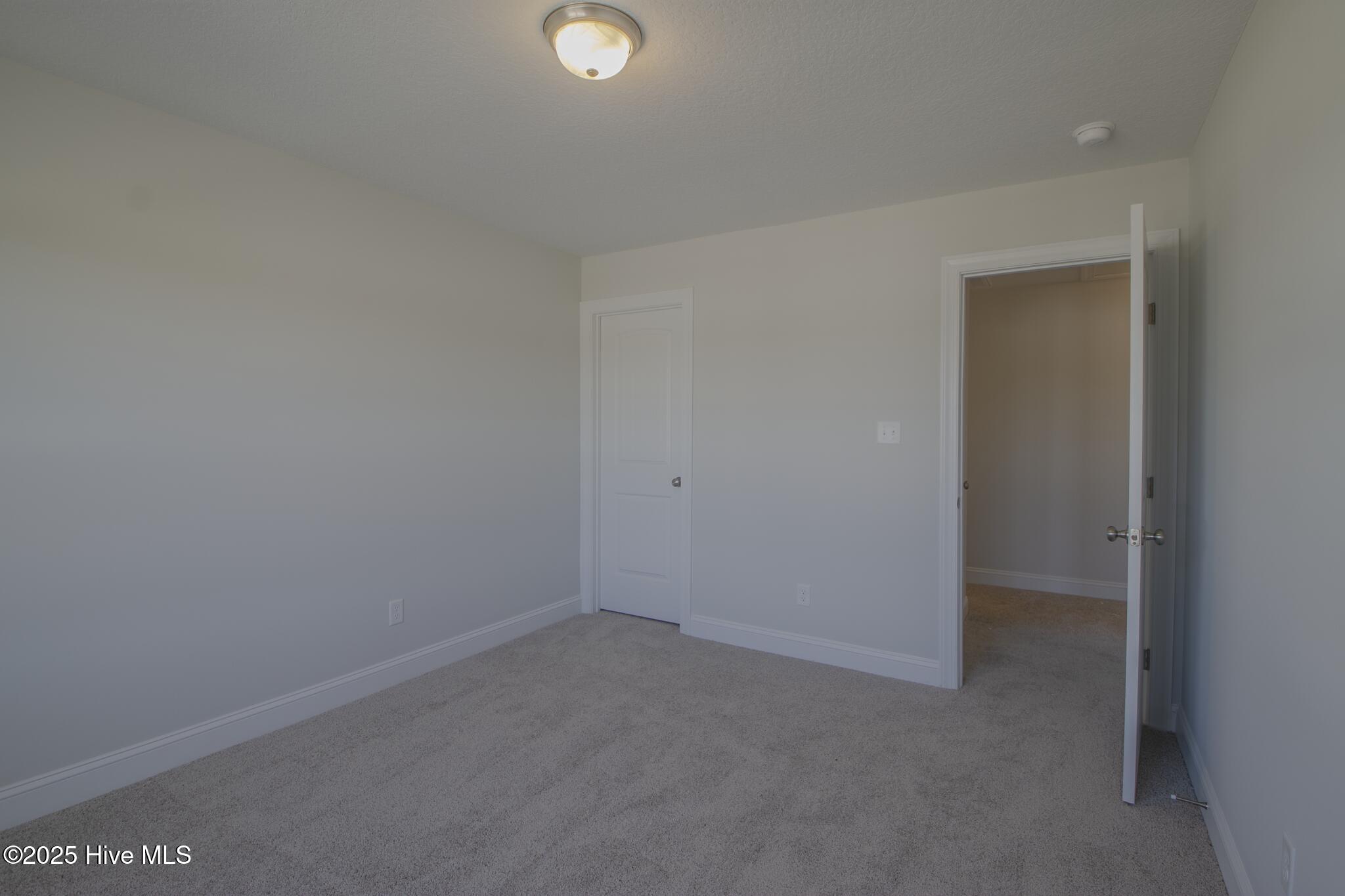 100504969 | Photo 25