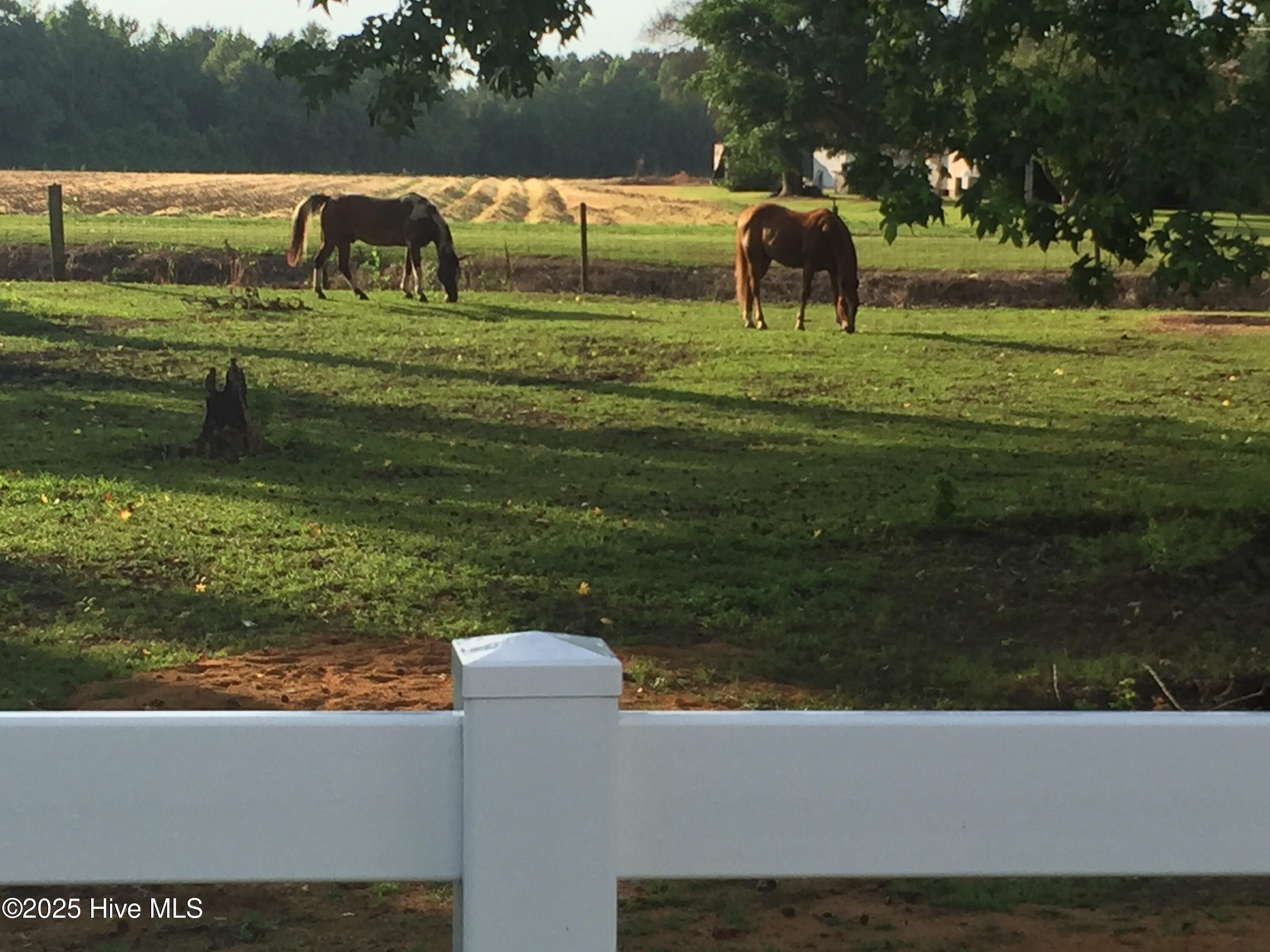 100554772 | Photo 82