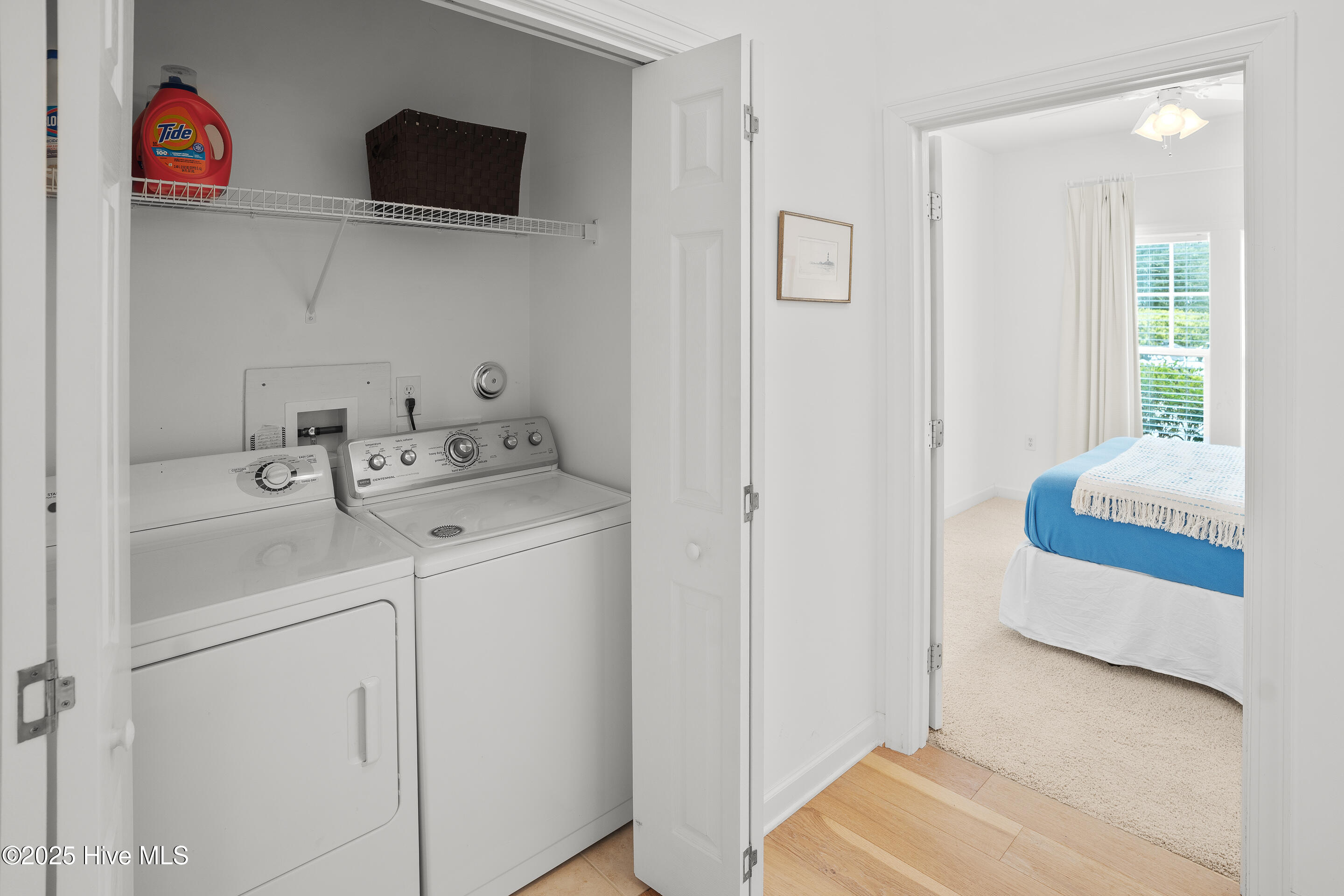 100526442 | Photo 25