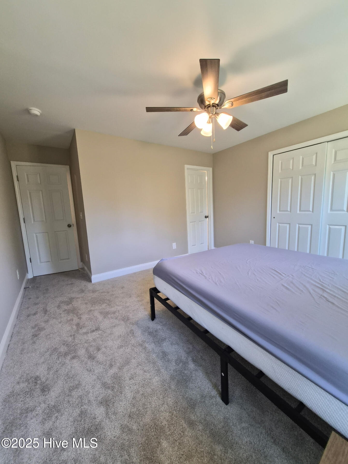 100536783 | Photo 19