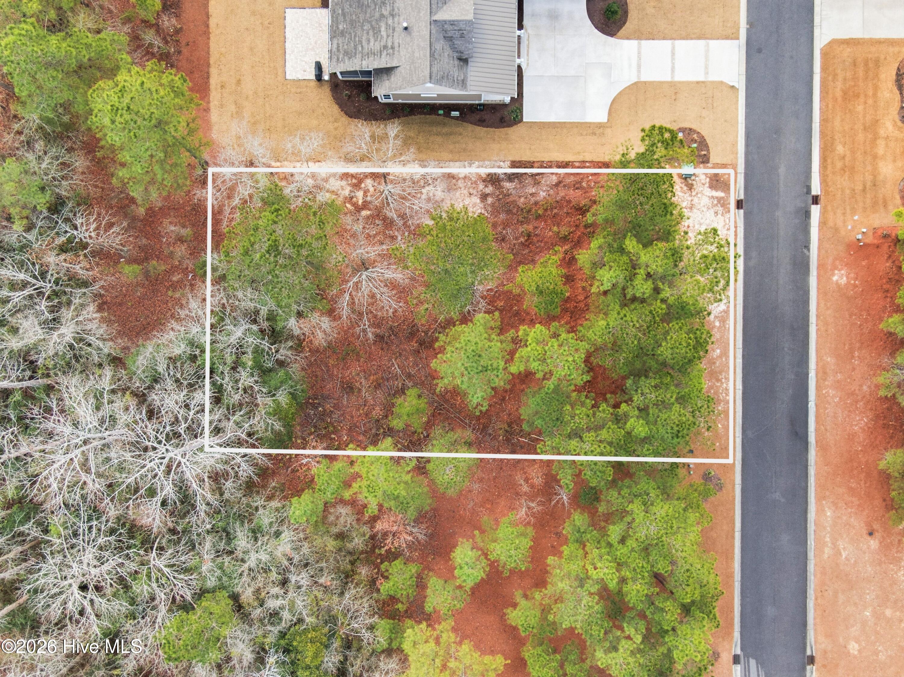 100551490 | Photo 49