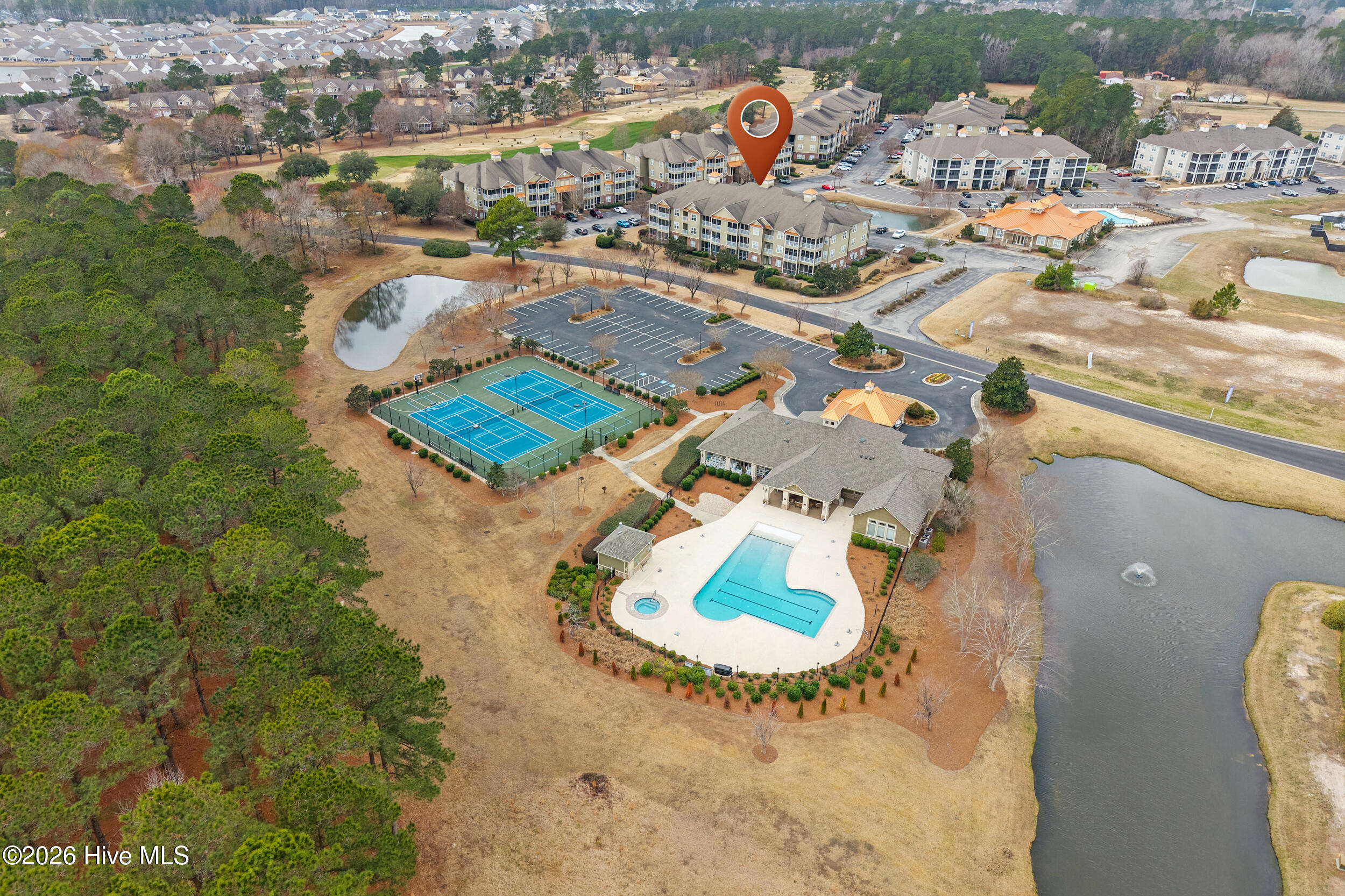 100556041 | Photo 34