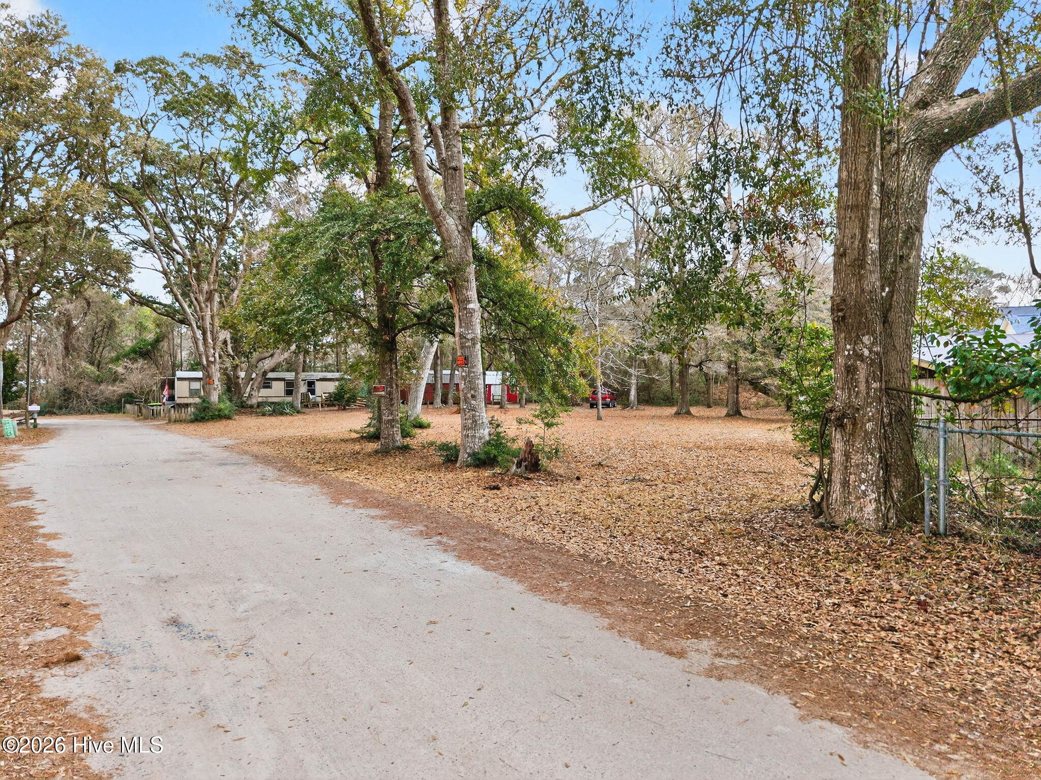 100558205 | Photo 11