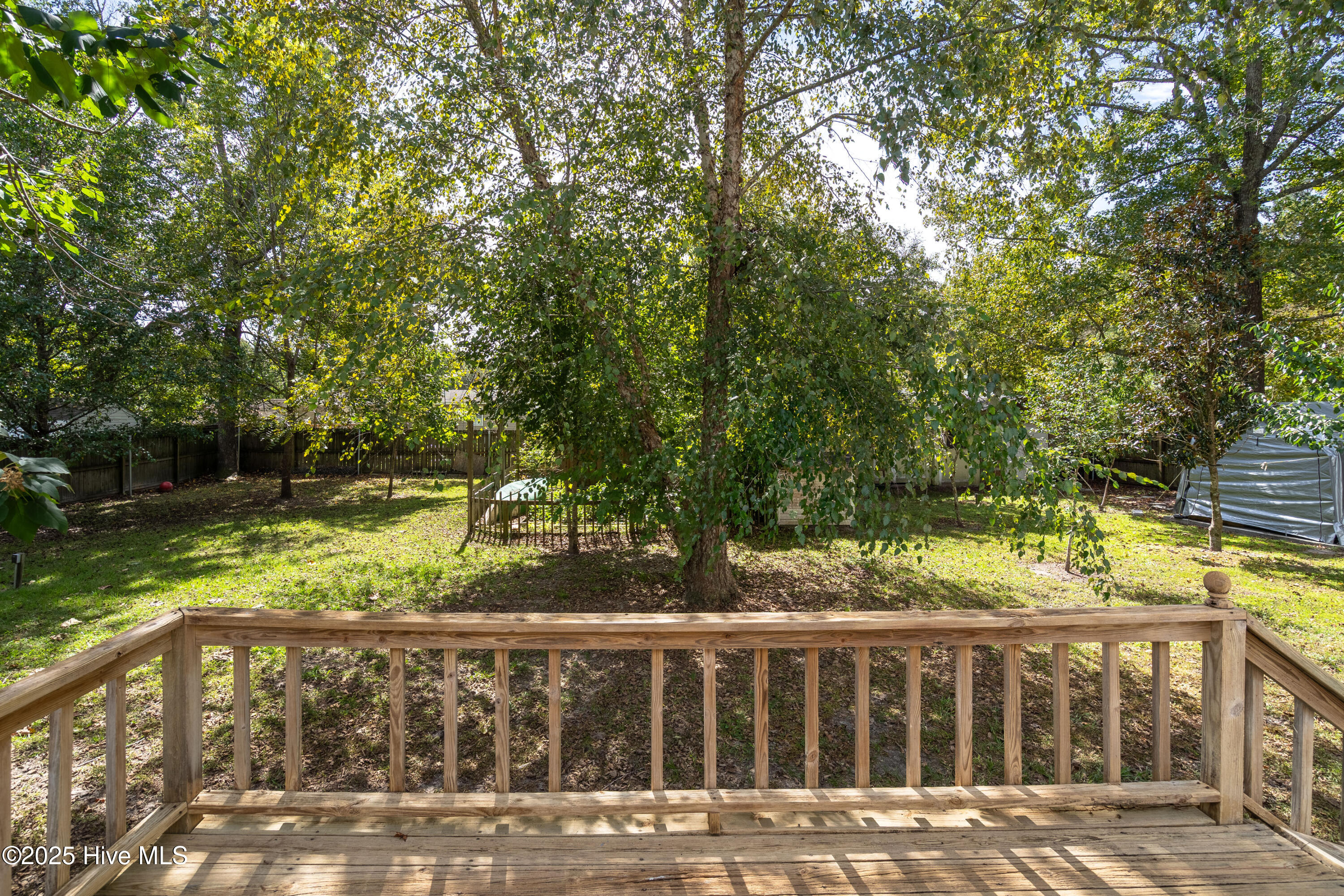 100535124 | Photo 24