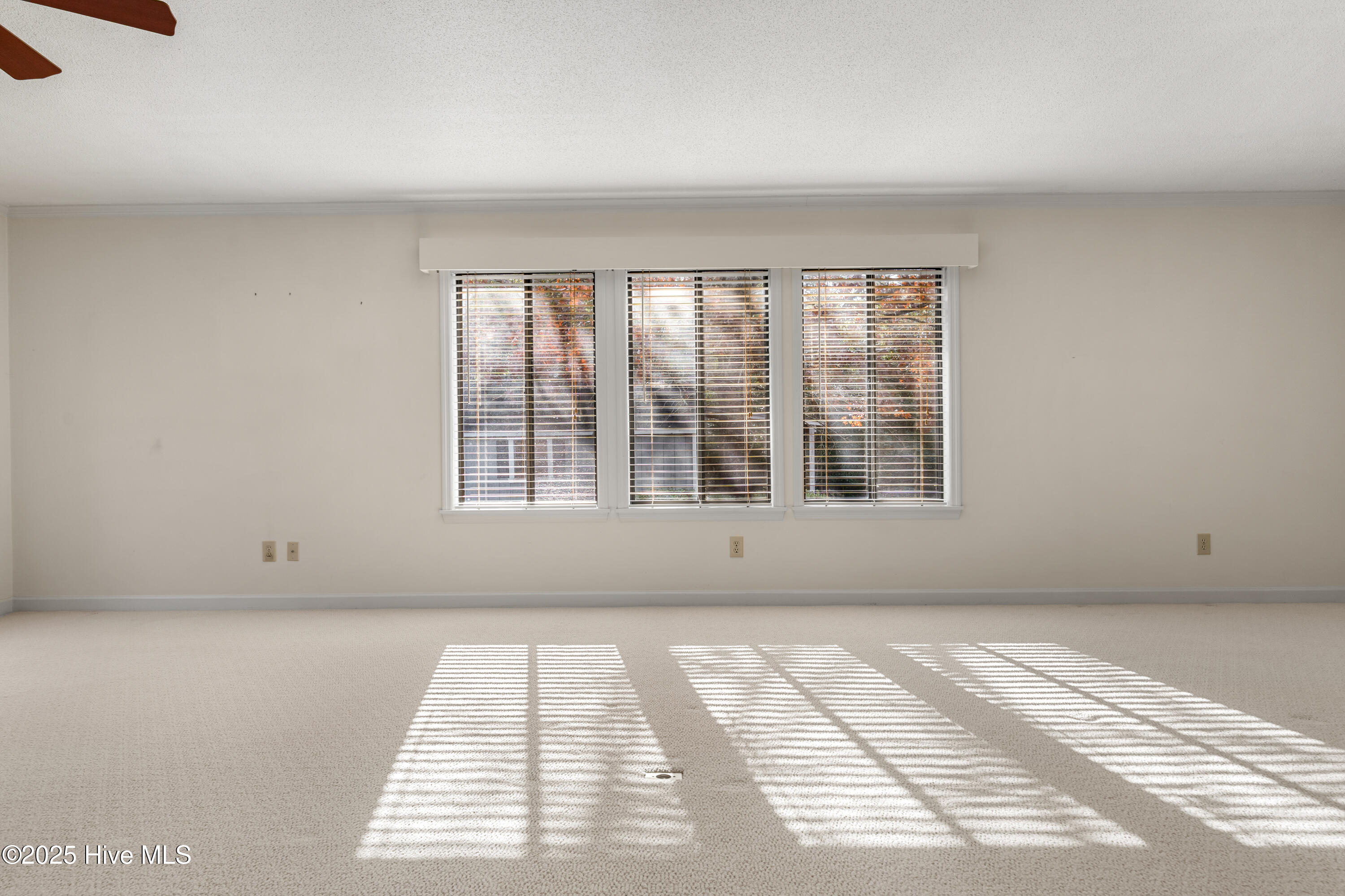 100542635 | Photo 14