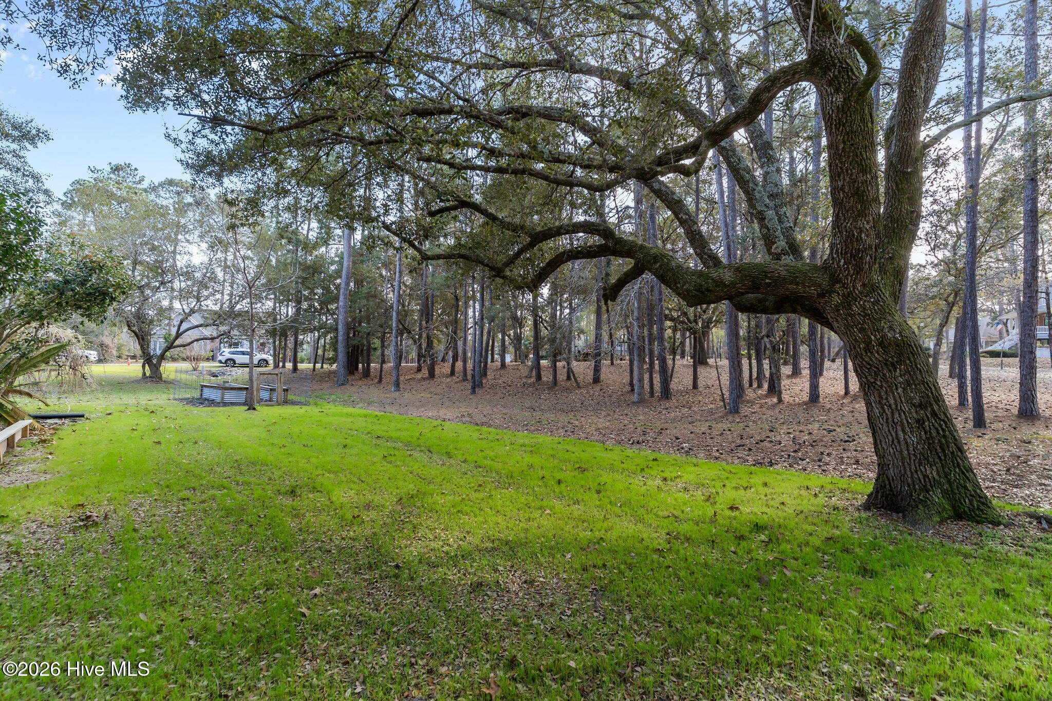 100562796 | Photo 45