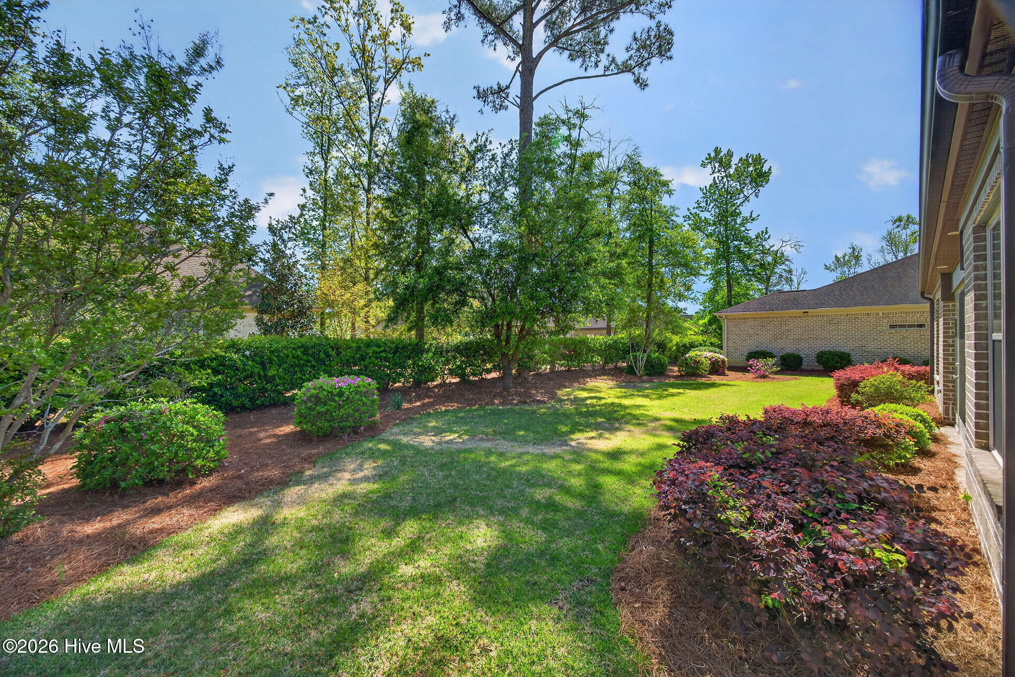 100548216 | Photo 49