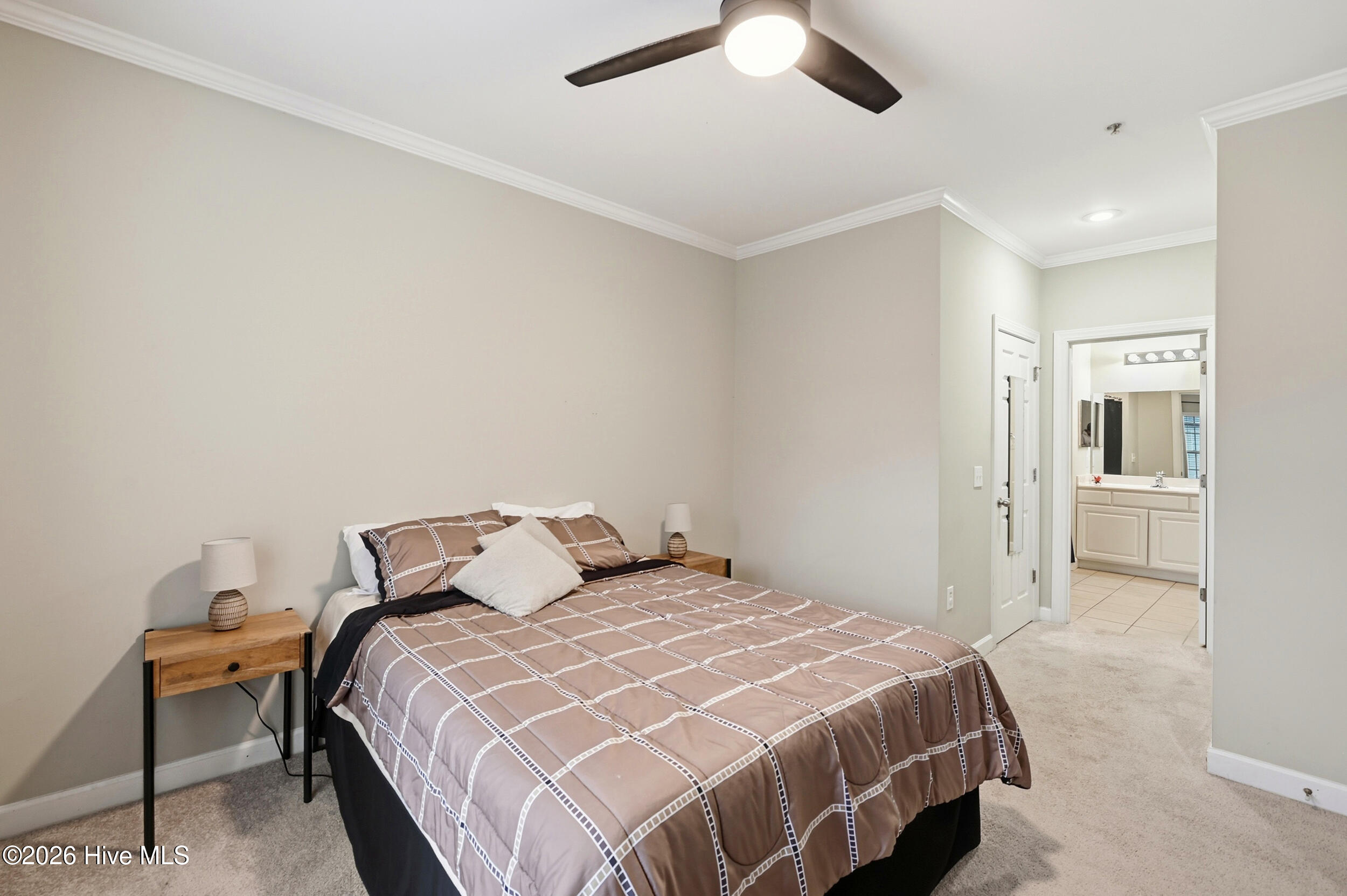 100553296 | Photo 16