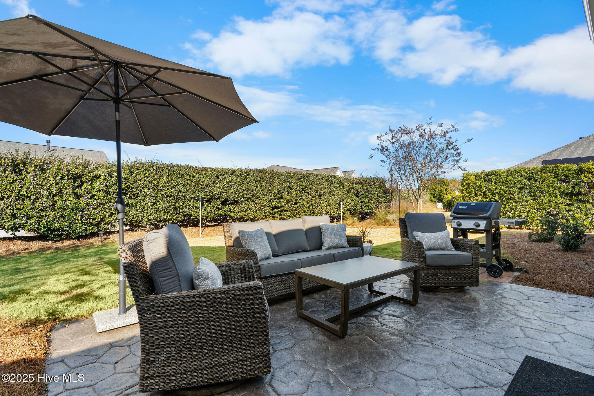 100542604 | Photo 48