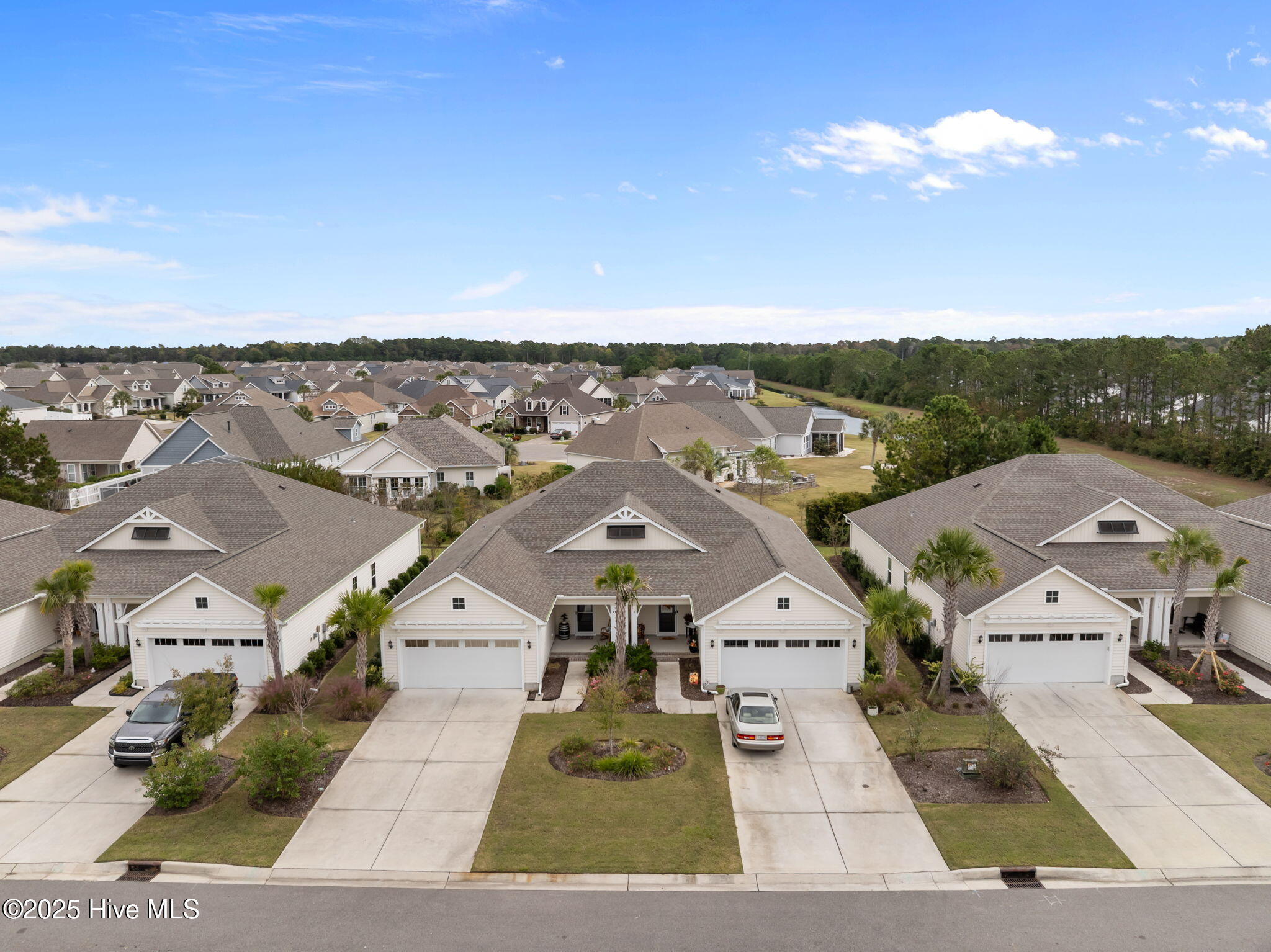 100539451 | Photo 41