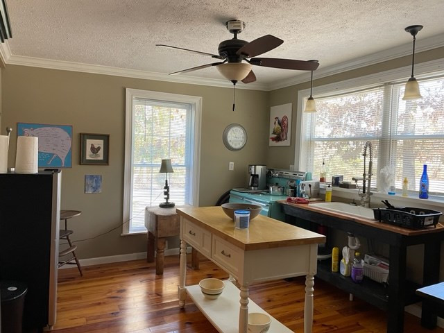 3220 Fish Dam Road, Thomson, GA 30824 Listing Photo  52