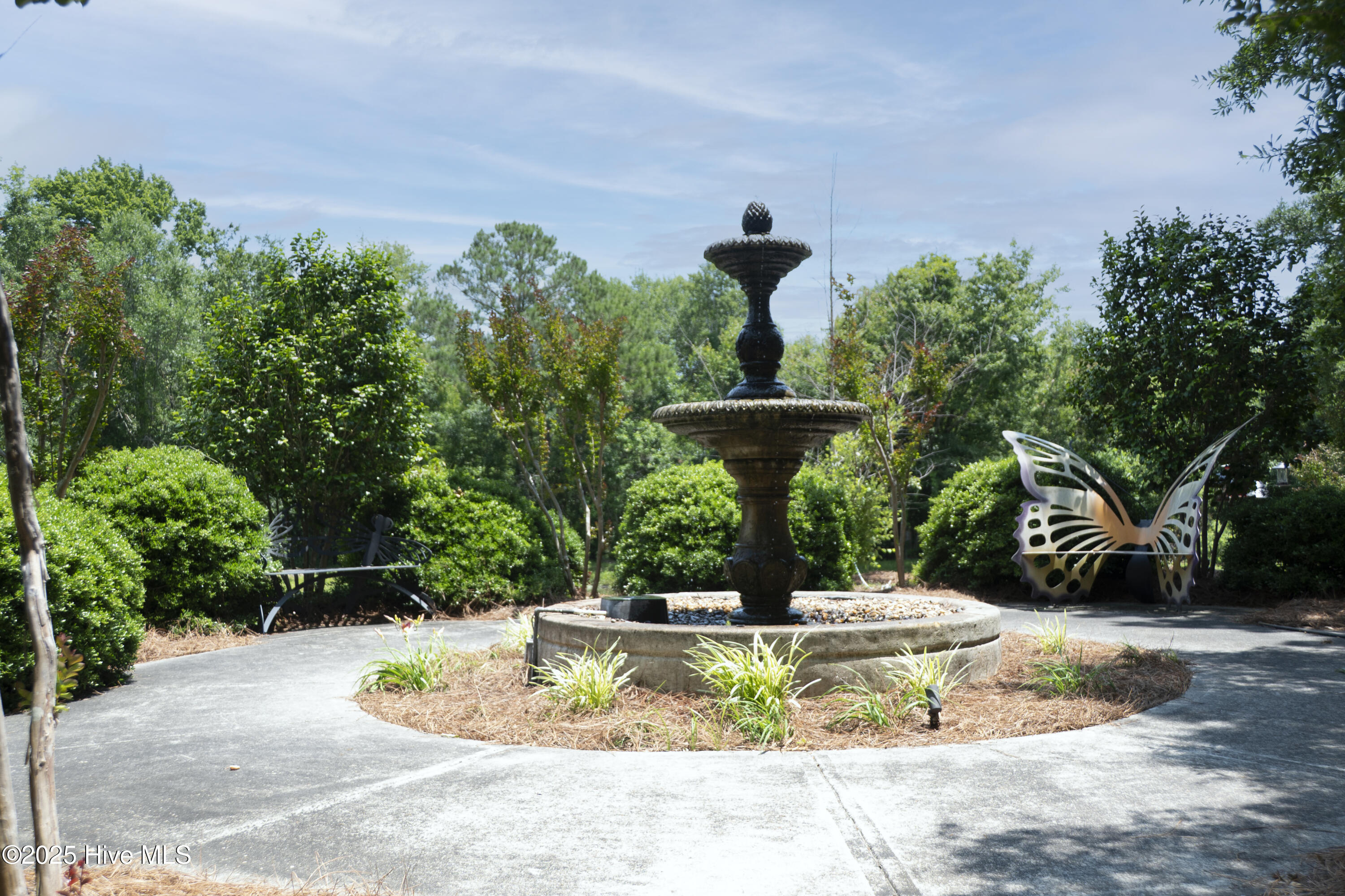 100511633 | Photo 34