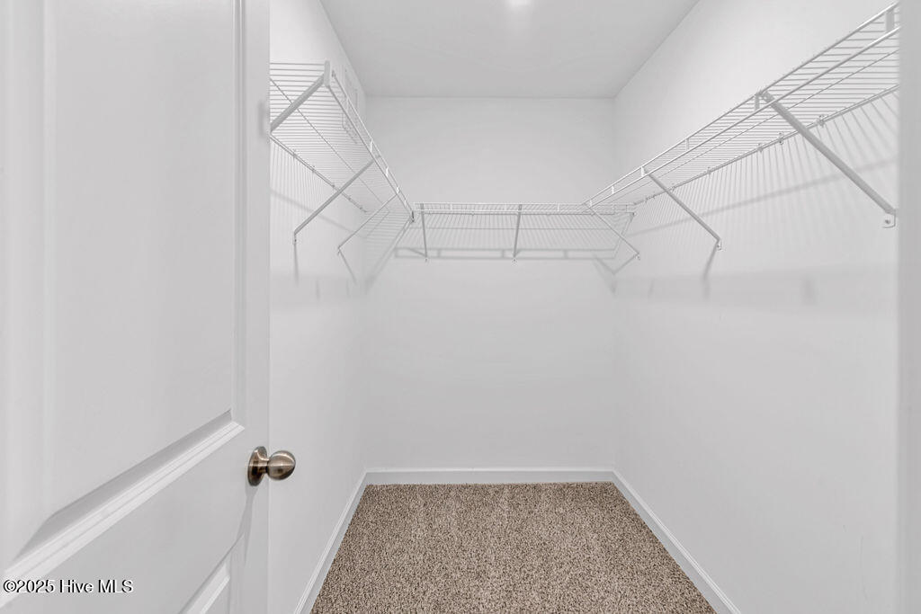 100545435 | Photo 23