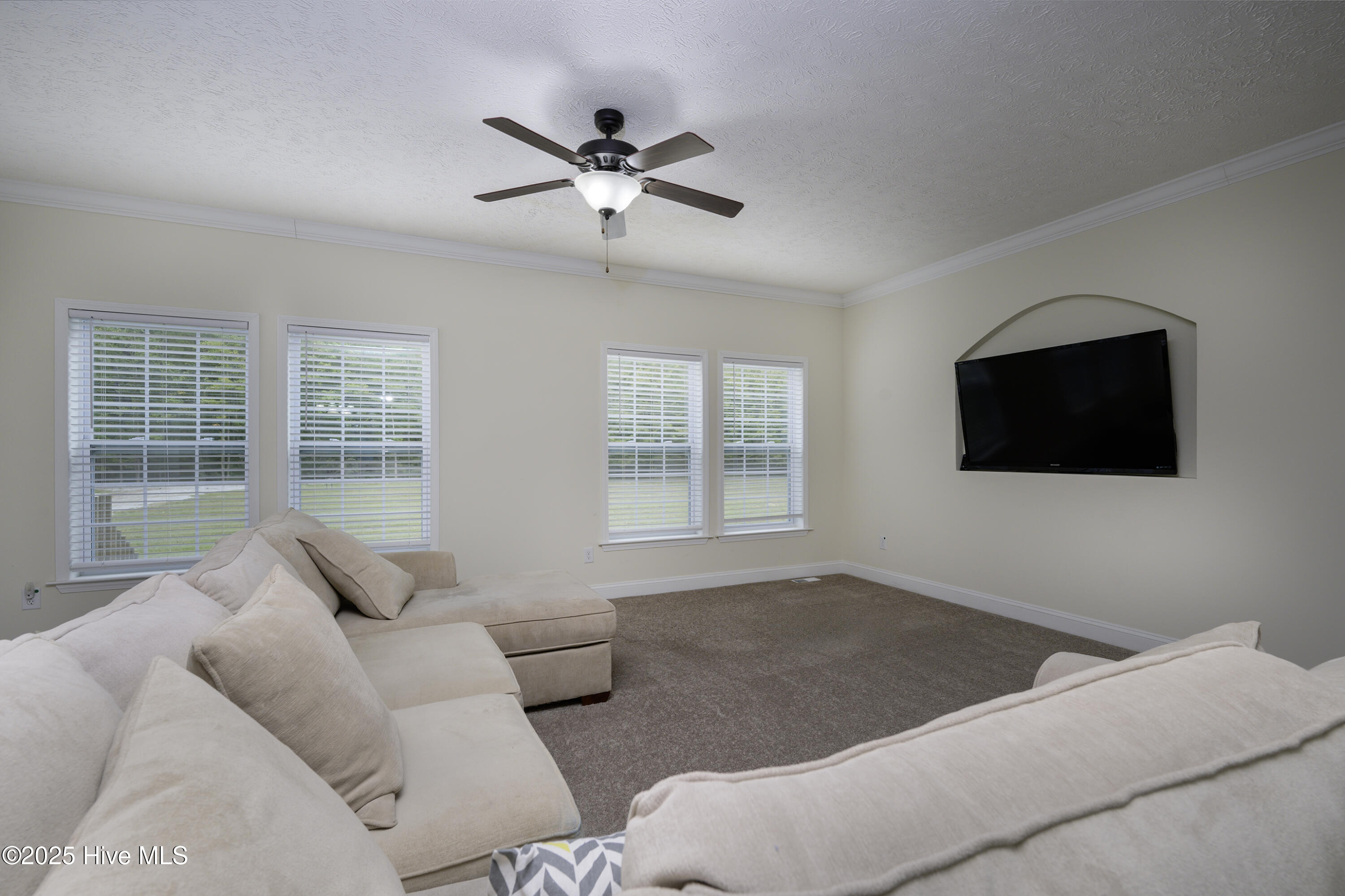 Cozy & Spacious Living Room