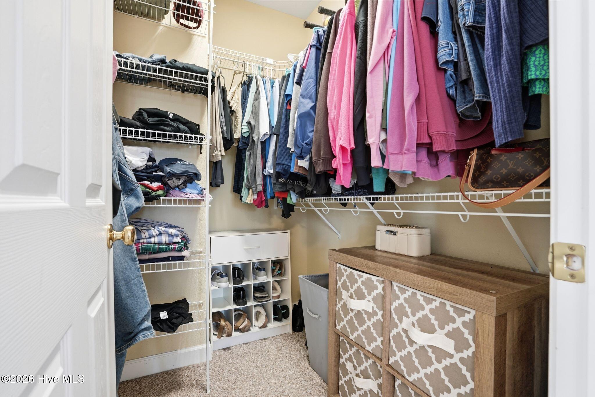 100559156 | Photo 22